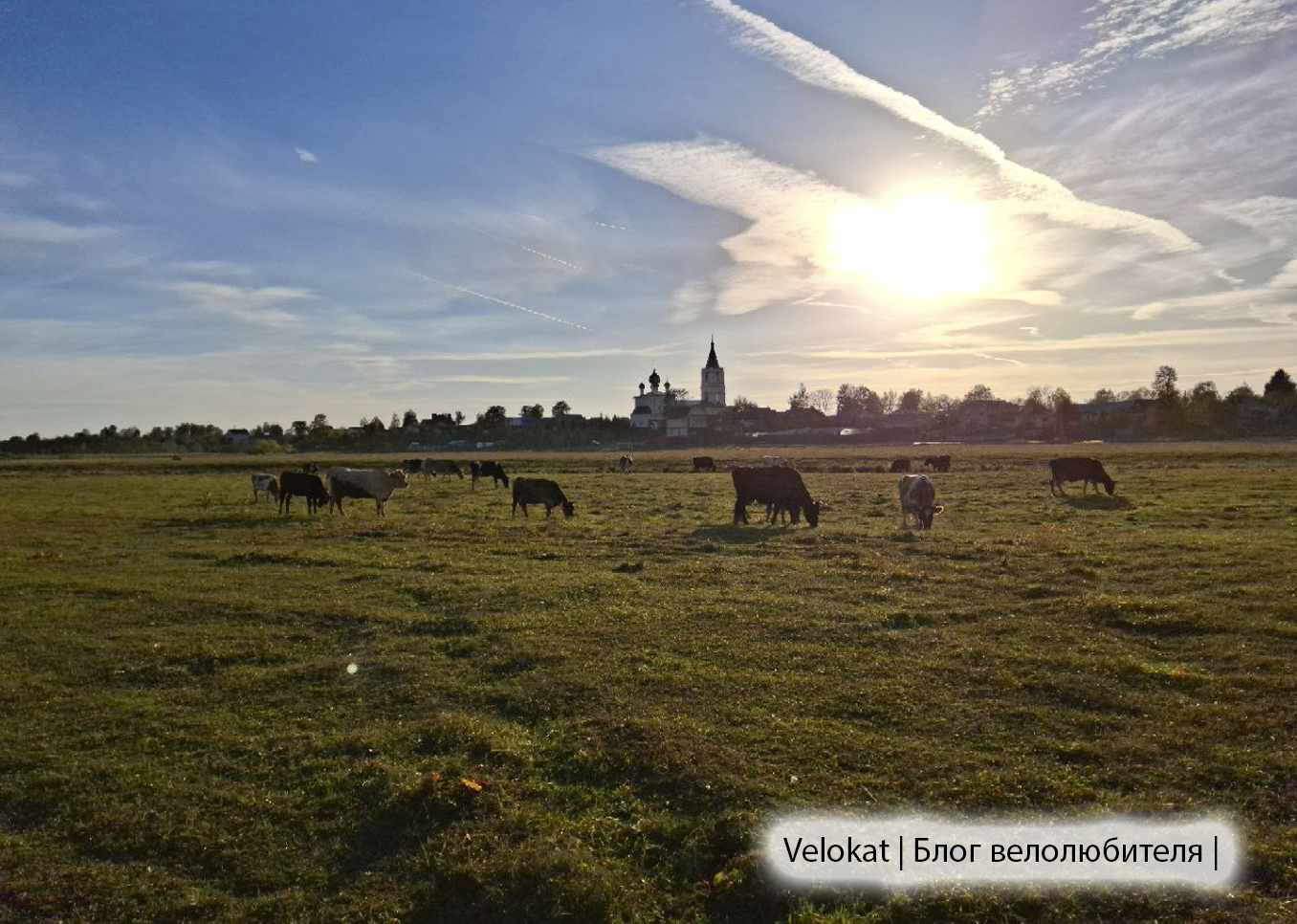 В Копосово - Моё, Велосипед, Велосипедист, Велопрогулка, Нижний Новгород, Отдых на природе, Лес, Осень, Длиннопост