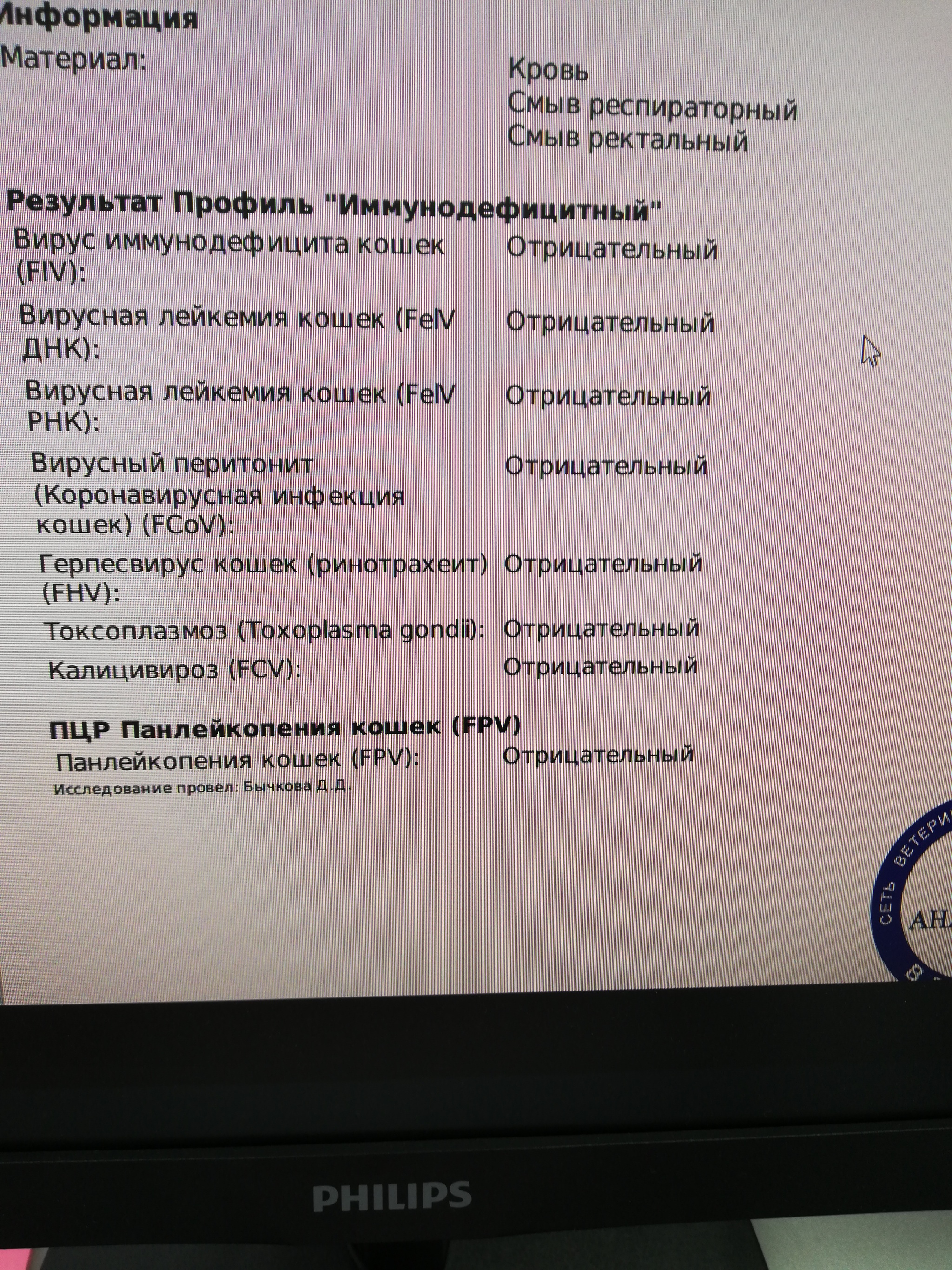 Продолжение поста «Бросили чёрного котёнка в подъезде» - Бездомные животные, В добрые руки, Спасение животных, Без рейтинга, Кот, Лига Добра, Потеряшка, Передержка, Приют, Волонтерство, Ветеринария, Ответ на пост, Длиннопост