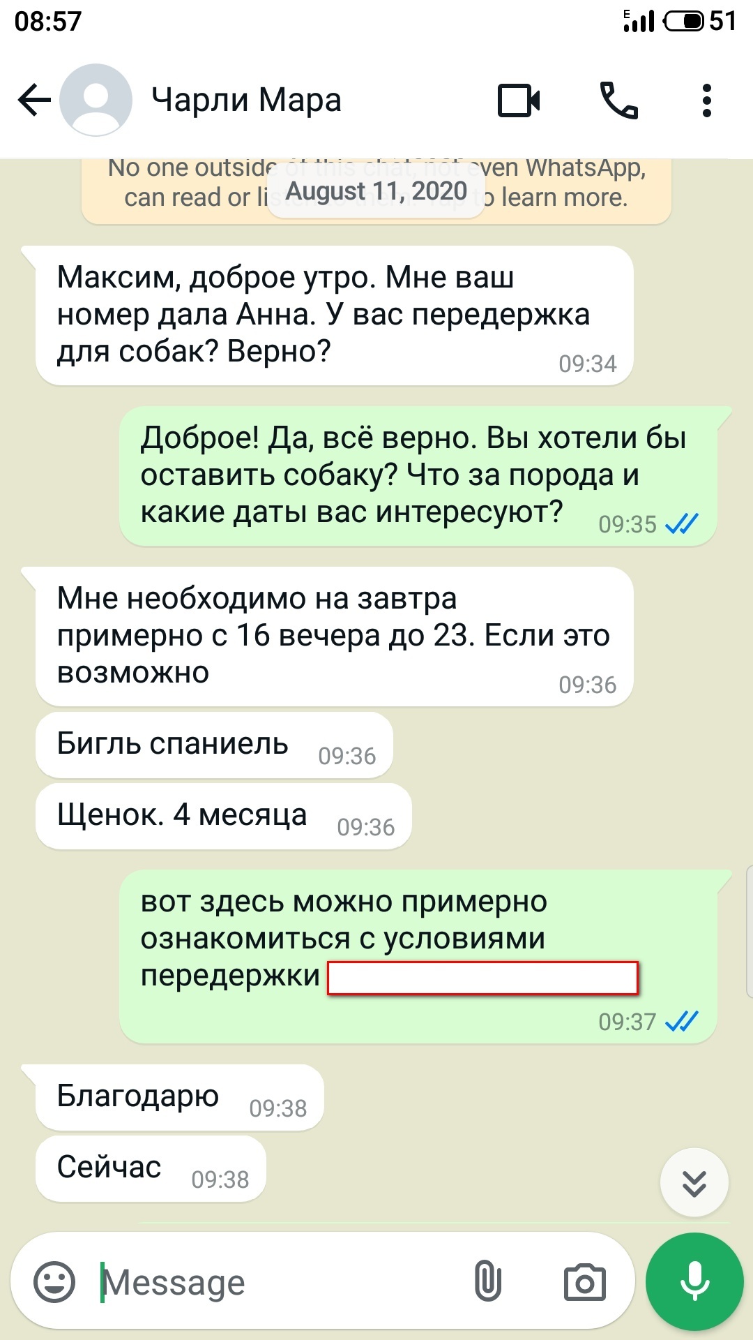 Бросили собаку на передержке, воспользовавшись моим доверием - Моё, Негатив, Без рейтинга, Ложь, Справедливость, Собака, Передержка, Обман, Помощь животным, Длиннопост, Истории из жизни