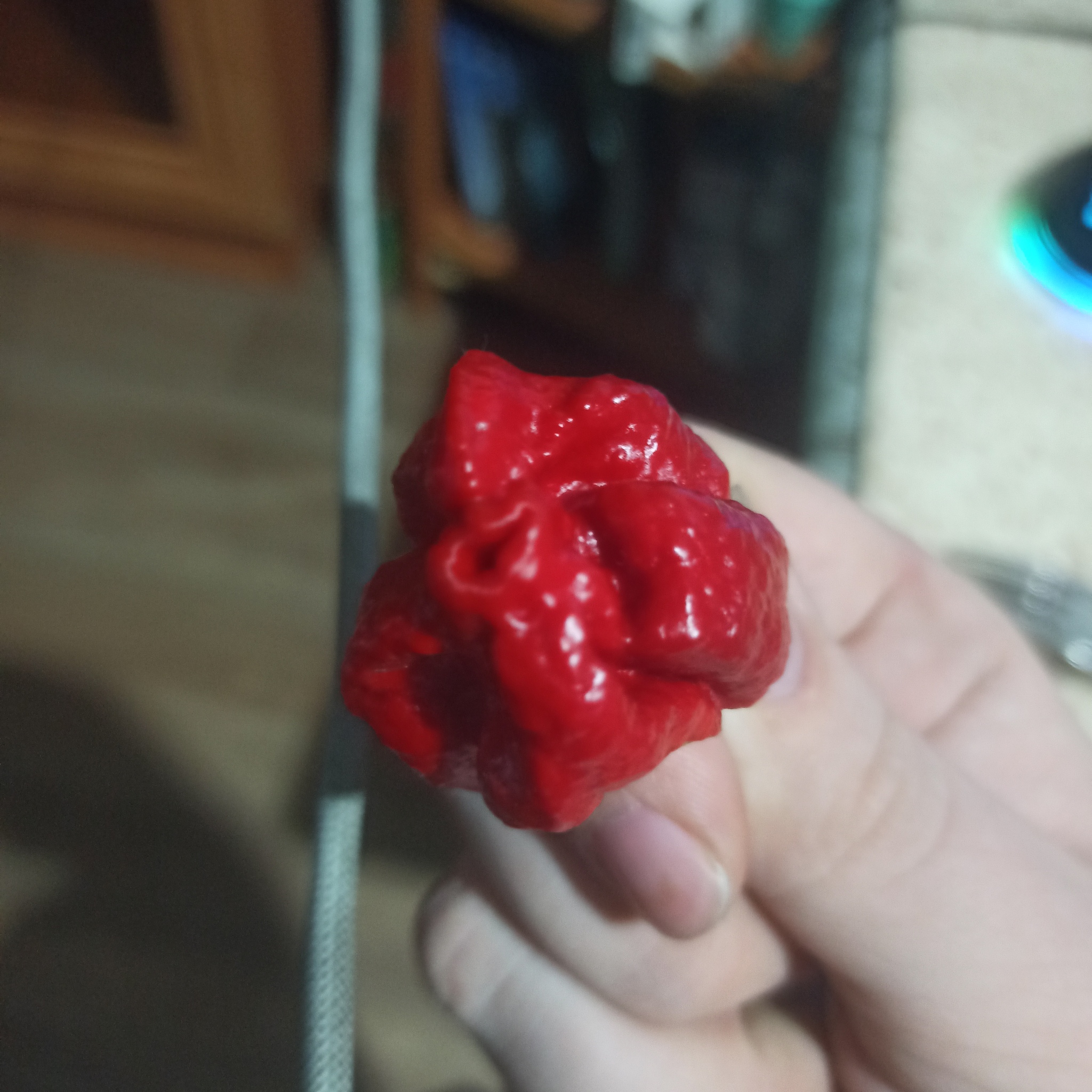 Can you help me identify the type of pepper? - My, Hot peppers, Carolina Reaper, Longpost