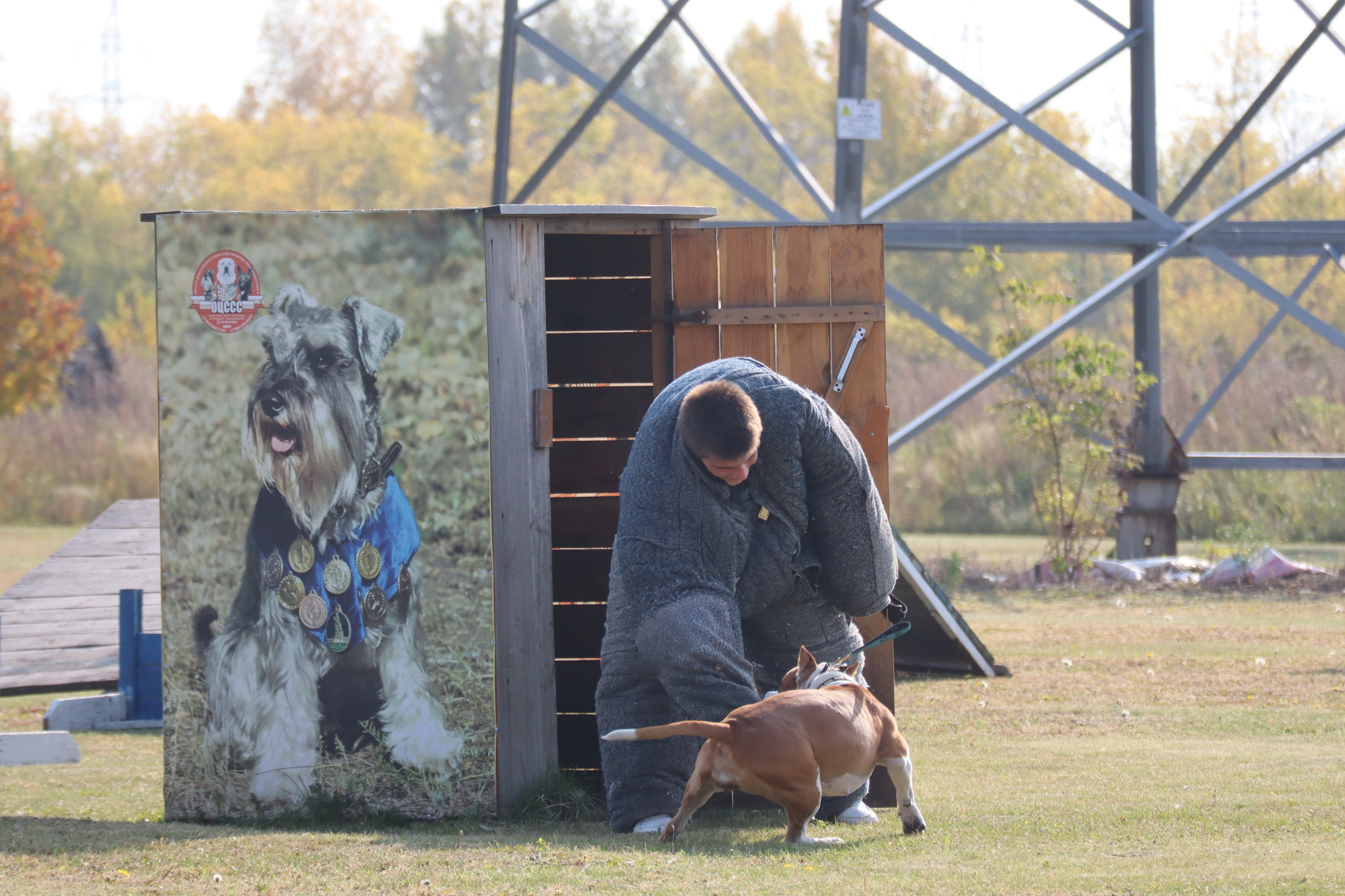 Dog training in Omsk - OCSSSS 28 - 09 - 2024 - Dog, Dog lovers, Puppies, Omsk, Training, Г“Г±Г±Г±, Friend, Care, Longpost