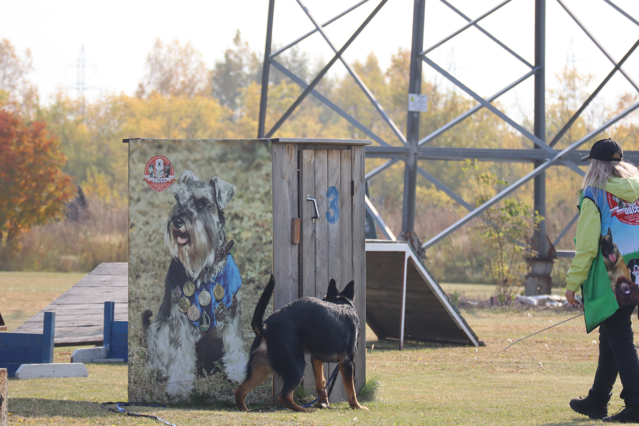 Dog training in Omsk - OCSSSS 28 - 09 - 2024 - Dog, Dog lovers, Puppies, Omsk, Training, Г“Г±Г±Г±, Friend, Care, Longpost