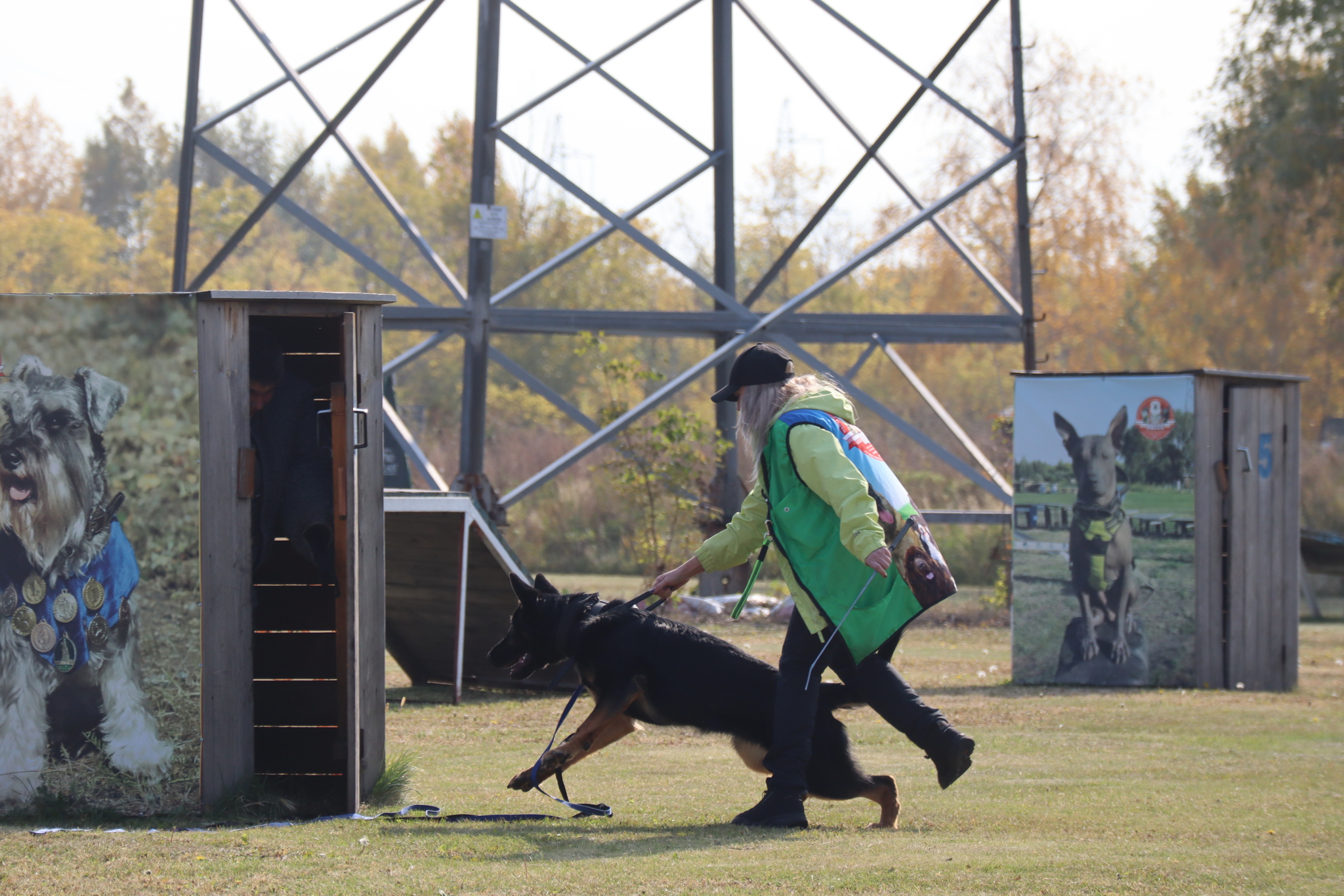 Dog training in Omsk - OCSSSS 28 - 09 - 2024 - Dog, Dog lovers, Puppies, Omsk, Training, Г“Г±Г±Г±, Friend, Care, Longpost