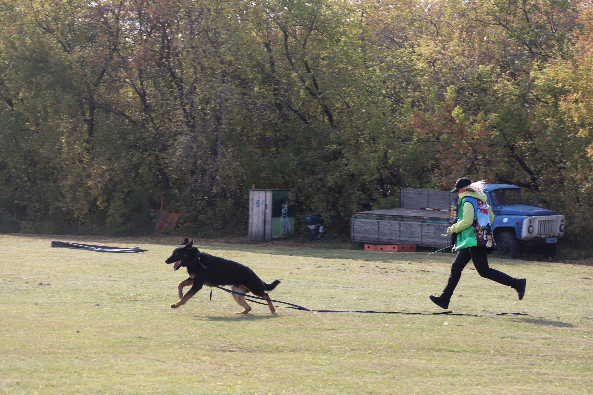 Dog training in Omsk - OCSSSS 28 - 09 - 2024 - Dog, Dog lovers, Puppies, Omsk, Training, Г“Г±Г±Г±, Friend, Care, Longpost