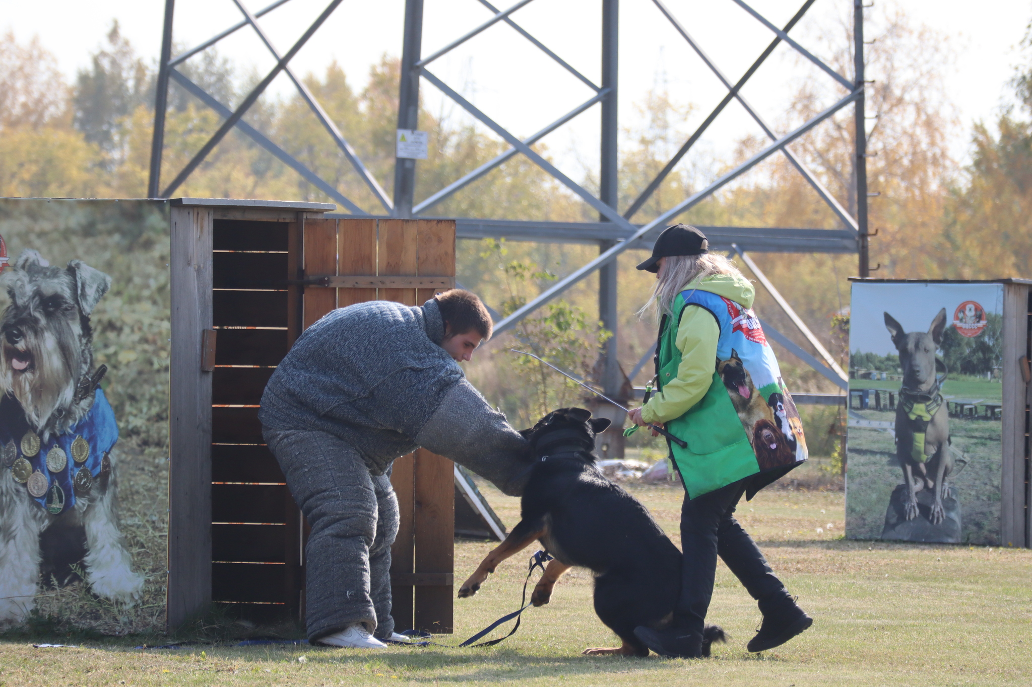 Dog training in Omsk - OCSSSS 28 - 09 - 2024 - Dog, Dog lovers, Puppies, Omsk, Training, Г“Г±Г±Г±, Friend, Care, Longpost