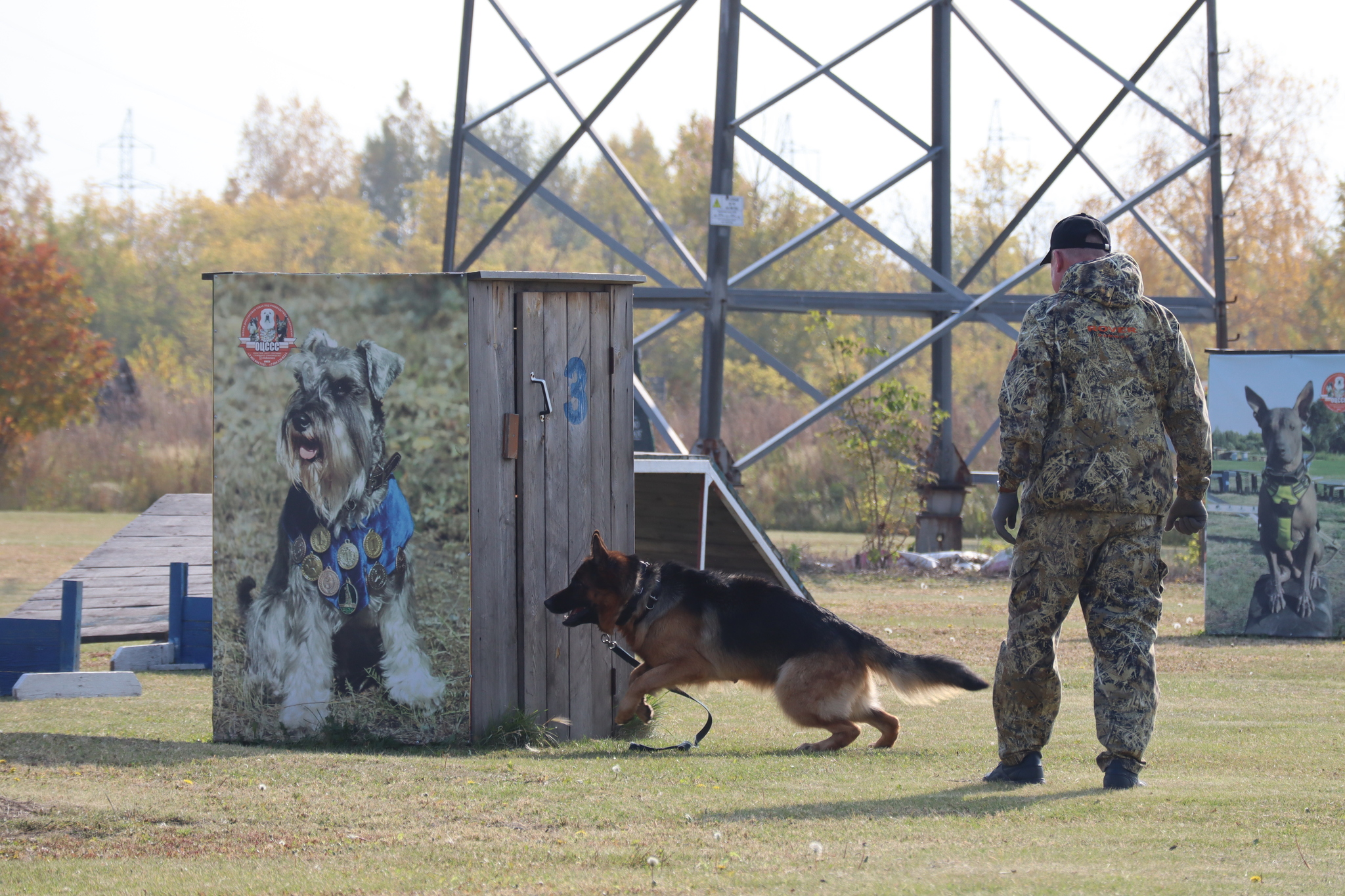 Dog training in Omsk - OCSSSS 28 - 09 - 2024 - Dog, Dog lovers, Puppies, Omsk, Training, Г“Г±Г±Г±, Friend, Care, Longpost