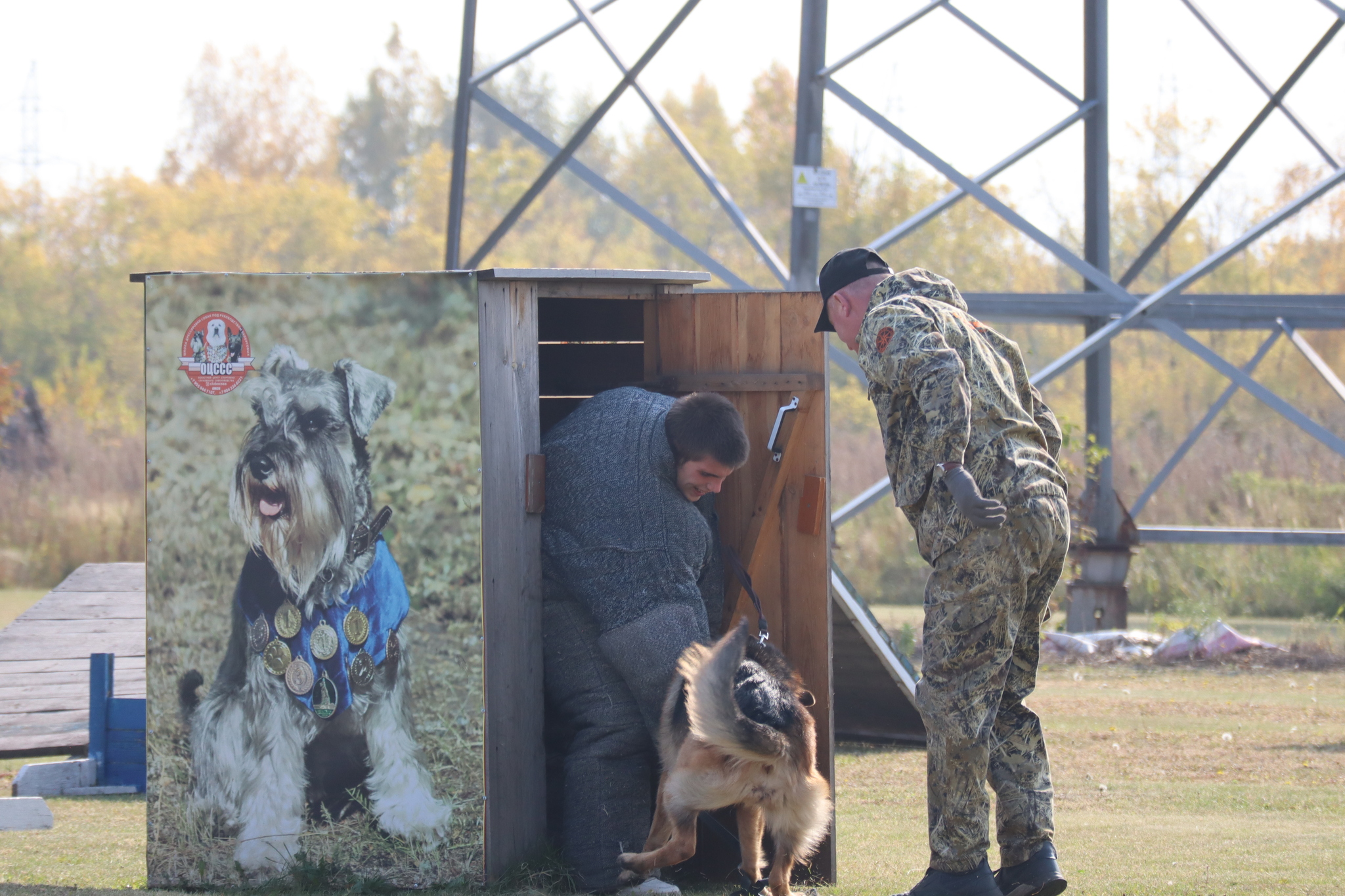 Dog training in Omsk - OCSSSS 28 - 09 - 2024 - Dog, Dog lovers, Puppies, Omsk, Training, Г“Г±Г±Г±, Friend, Care, Longpost