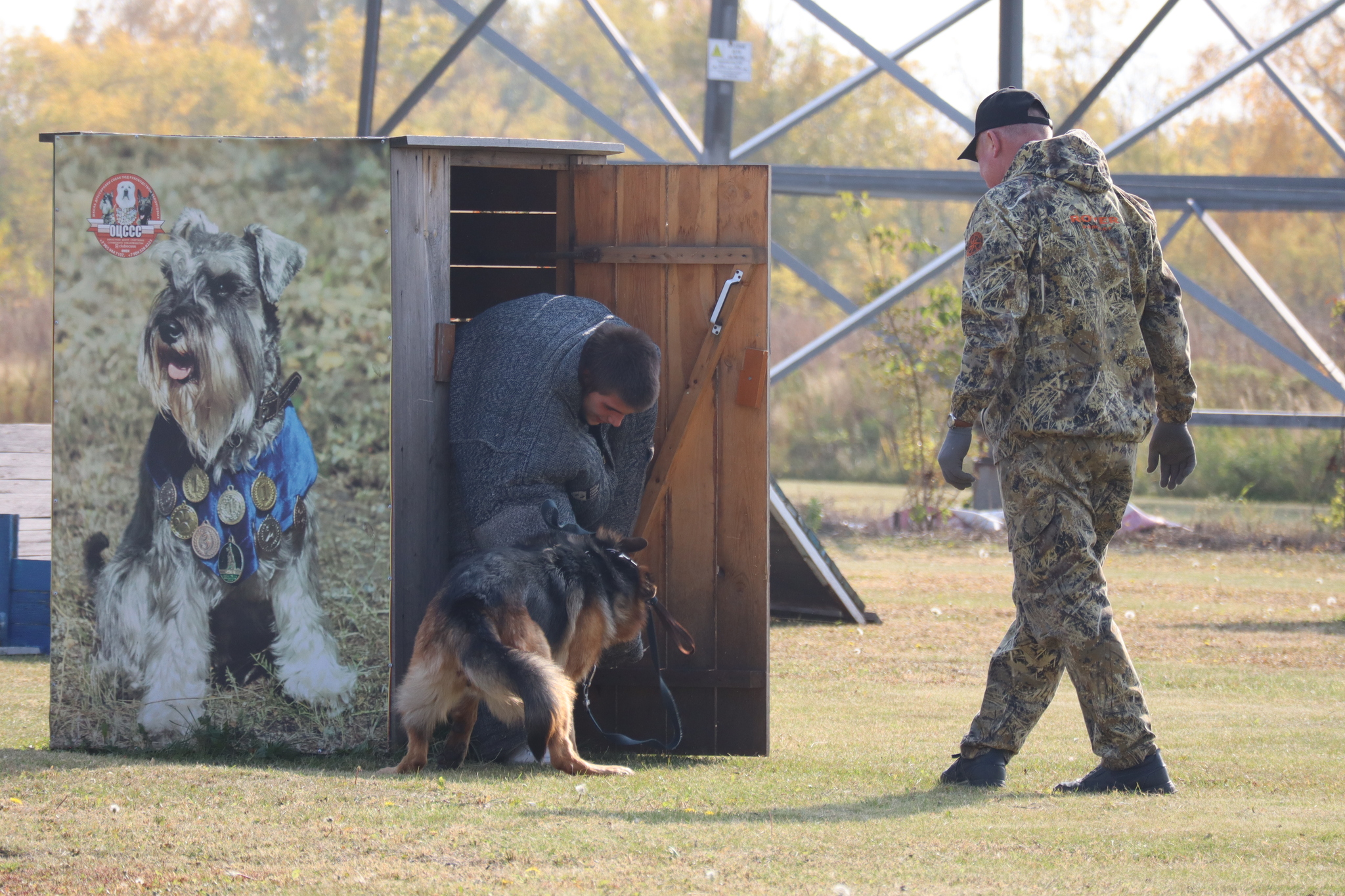 Dog training in Omsk - OCSSSS 28 - 09 - 2024 - Dog, Dog lovers, Puppies, Omsk, Training, Г“Г±Г±Г±, Friend, Care, Longpost