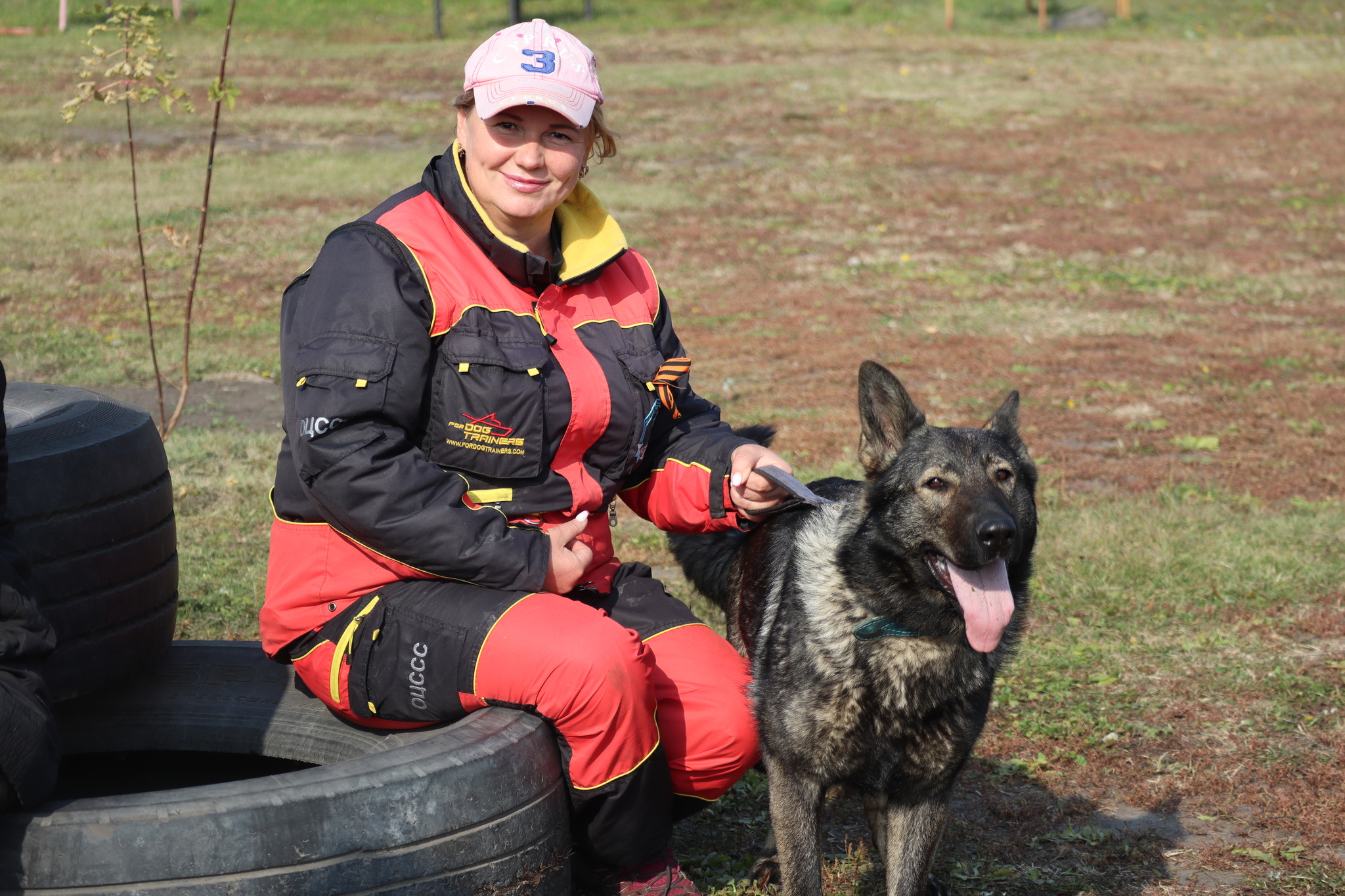 Dog training in Omsk - OCSSSS 28 - 09 - 2024 - Dog, Dog lovers, Puppies, Omsk, Training, Г“Г±Г±Г±, Friend, Care, Longpost