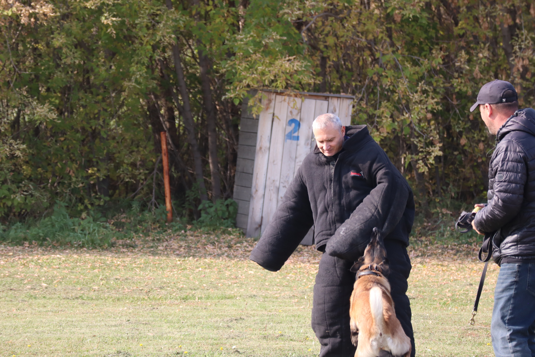 Dog training in Omsk - OCSSSS 28 - 09 - 2024 - Dog, Dog lovers, Puppies, Omsk, Training, Г“Г±Г±Г±, Friend, Care, Longpost