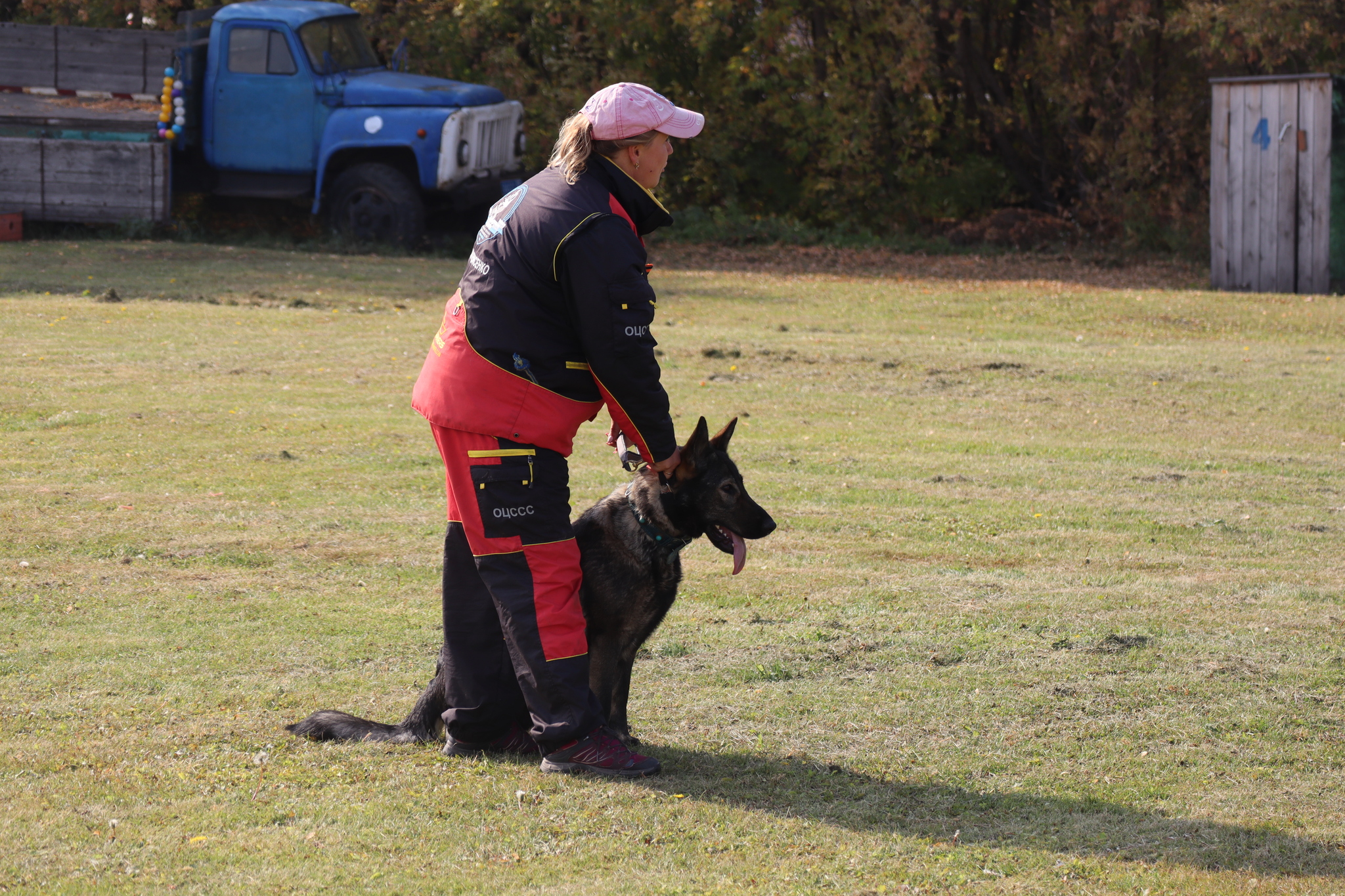 Dog training in Omsk - OCSSSS 28 - 09 - 2024 - Dog, Dog lovers, Puppies, Omsk, Training, Г“Г±Г±Г±, Friend, Care, Longpost