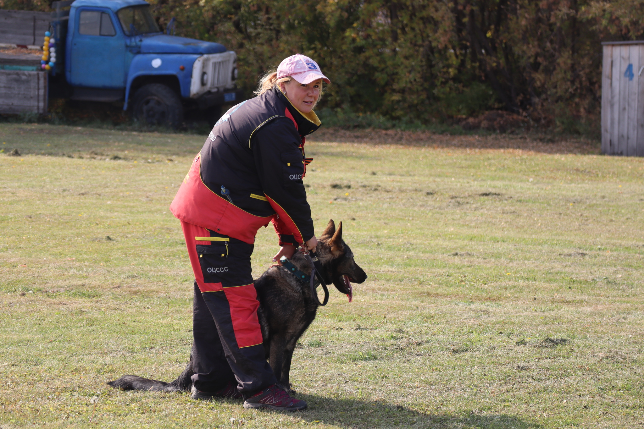 Dog training in Omsk - OCSSSS 28 - 09 - 2024 - Dog, Dog lovers, Puppies, Omsk, Training, Г“Г±Г±Г±, Friend, Care, Longpost