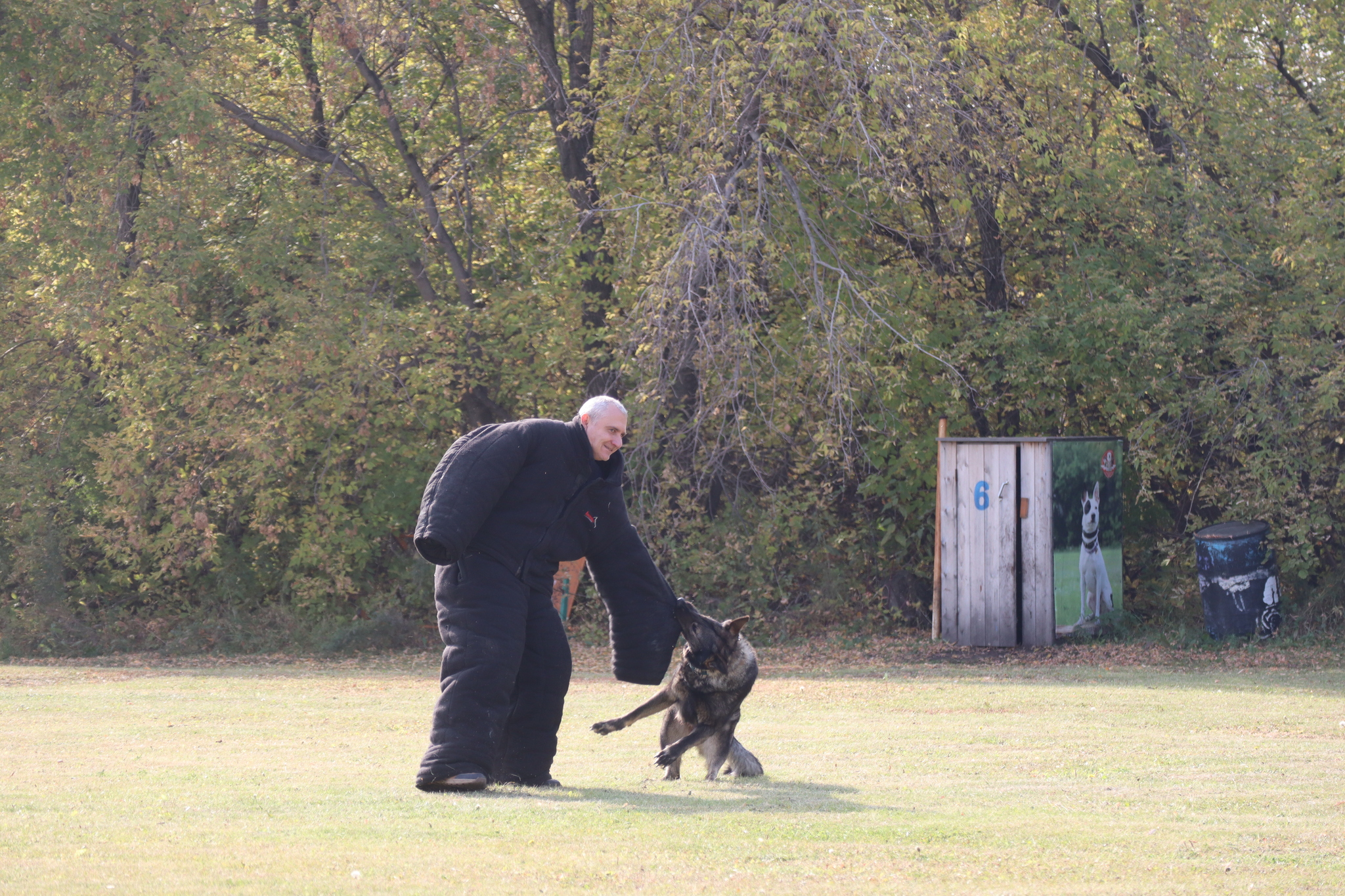 Dog training in Omsk - OCSSSS 28 - 09 - 2024 - Dog, Dog lovers, Puppies, Omsk, Training, Г“Г±Г±Г±, Friend, Care, Longpost