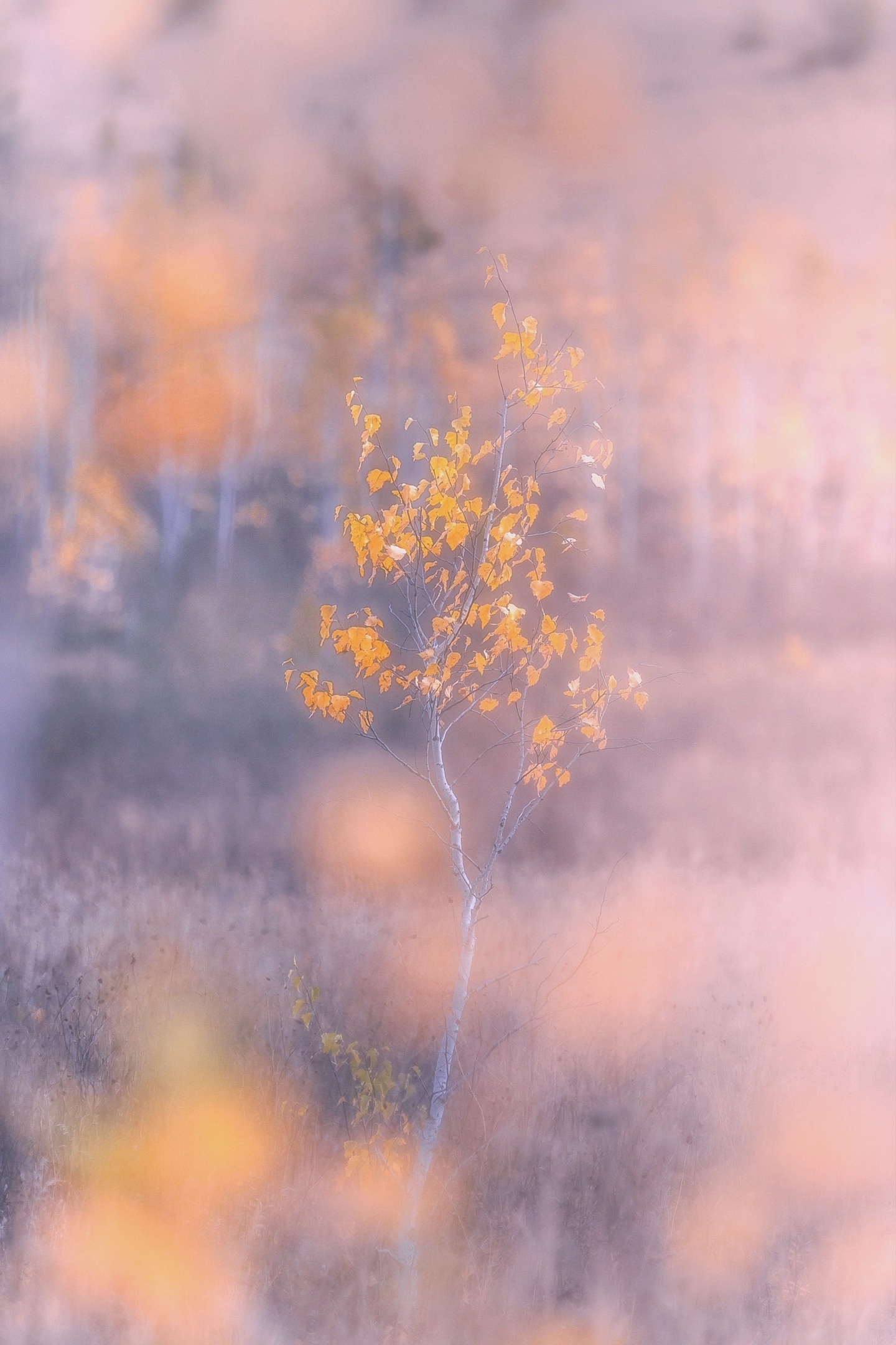 One September morning - My, Bashkortostan, Landscape, Nurali, Uchily, Autumn, Minimalism, The photo