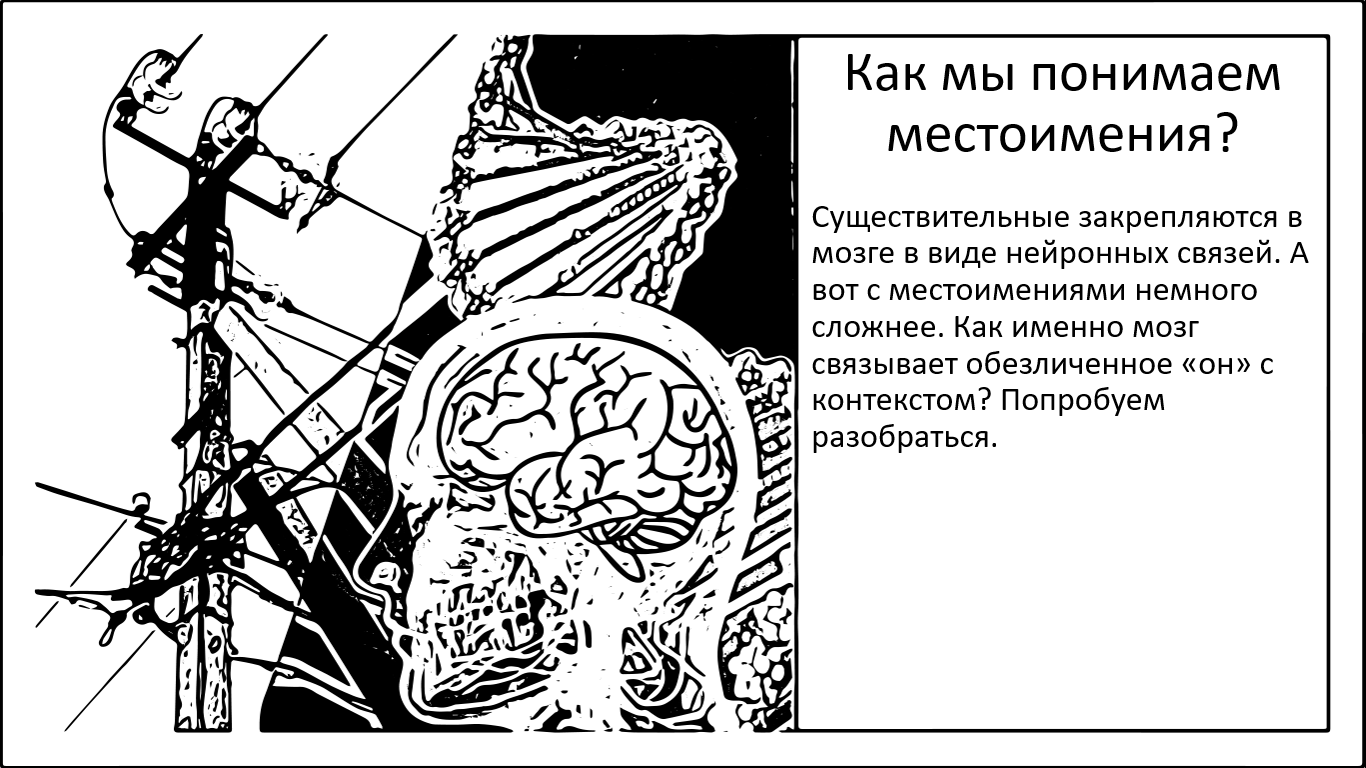 Memory, brain, speech. How do we understand pronouns? - My, Brain, Research, Experiment, Nauchpop, The science, Memory, Pronouns, Speech, Semantics, Meaning, Longpost