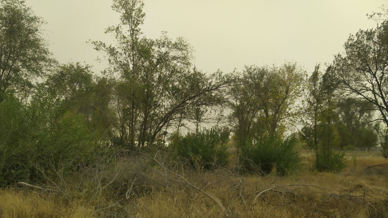 Dust storm - My, Dust storm, Luhansk, Longpost, The photo