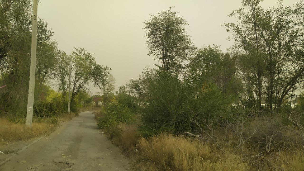 Dust storm - My, Dust storm, Luhansk, Longpost, The photo