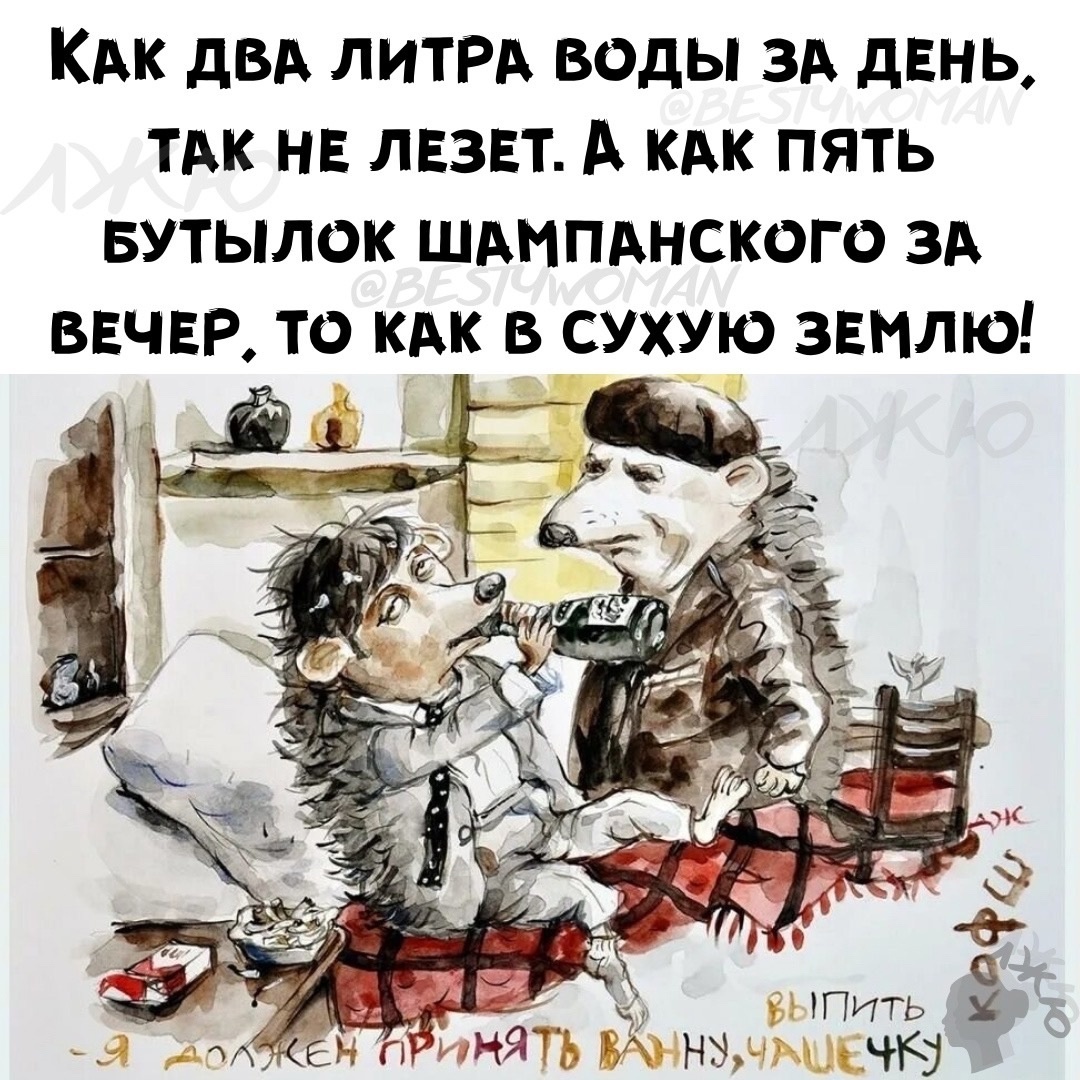 Два литра воды в день - Картинка с текстом, Юмор, Вода, Алкоюмор, Алкоголь, Анжела Джерих, Повтор