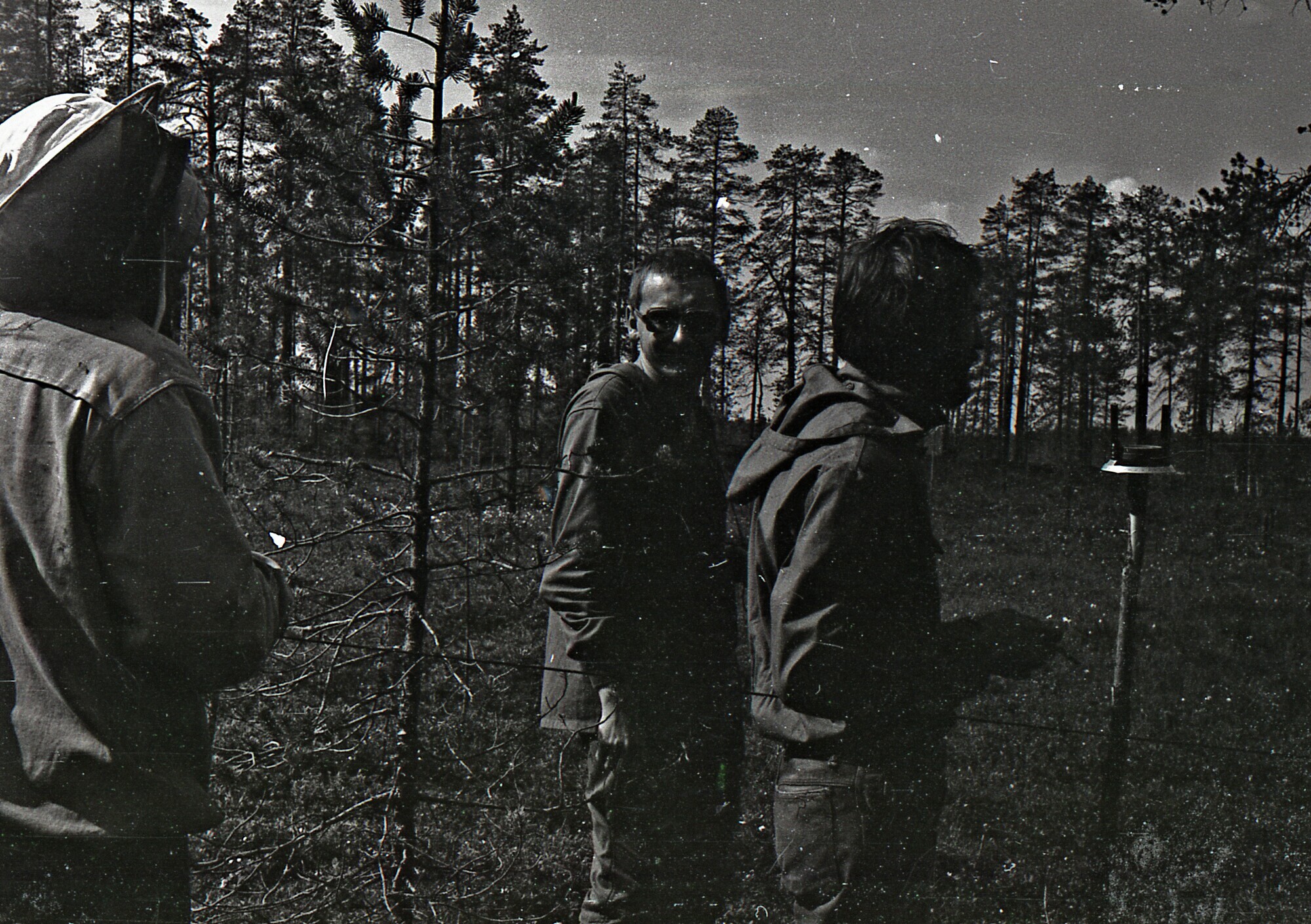 1988 год. Верхом на вездеходах, часть 3 - Моё, Геология, Геологи, Геофизика, Геофизики, Архангельская область, Летняя практика, Истории из жизни, 80-е, Воспоминания, Длиннопост