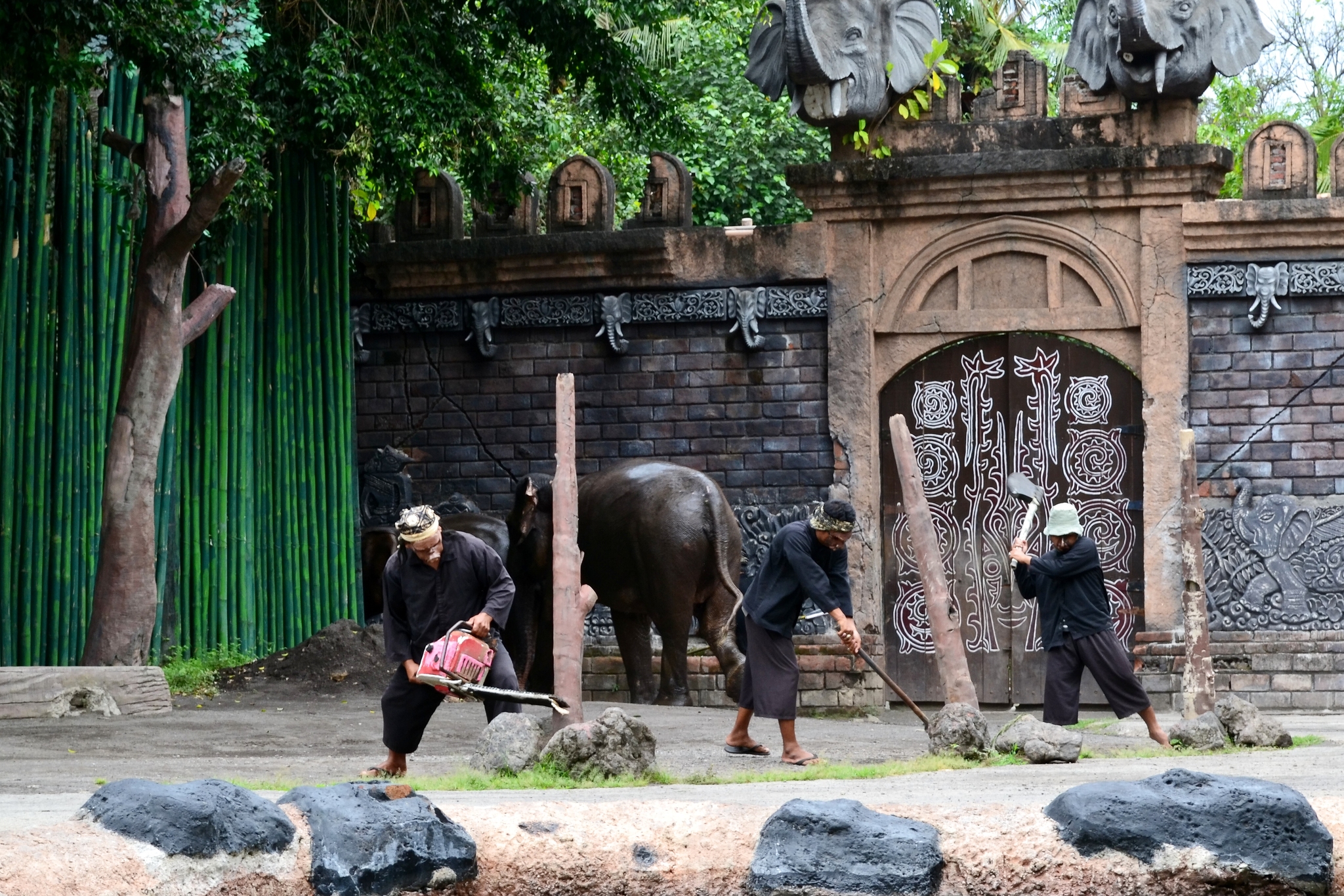 Safari Park Bali Safari and Marine Park. Indonesia, o. Bali - My, Asia, Travels, Personal experience, Safari, The park, Entertainment, Animals, Jungle, Indonesia, Bali, The photo, Longpost