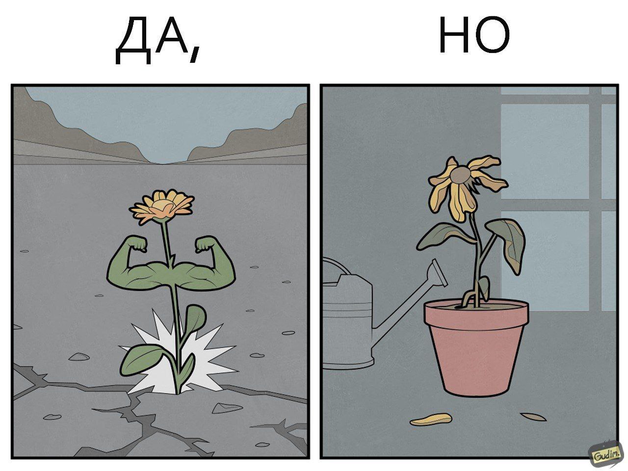 Да, НО (выпуск 23) - Моё, Gudim, Арт, Юмор, Комиксы, Да_но, Длиннопост