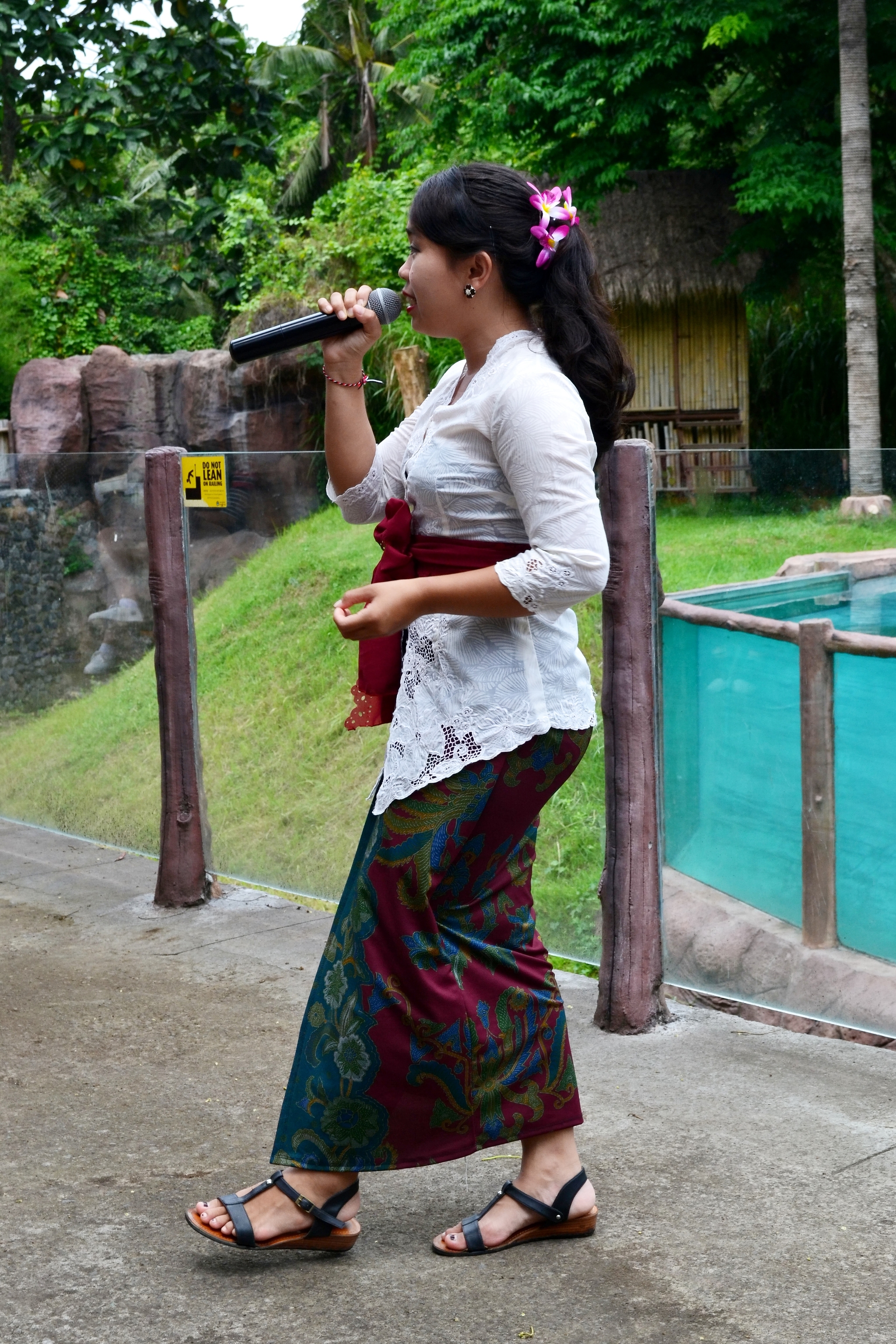 Safari Park Bali Safari and Marine Park. Indonesia, o. Bali - My, Asia, Travels, Personal experience, Safari, The park, Entertainment, Animals, Jungle, Indonesia, Bali, The photo, Longpost