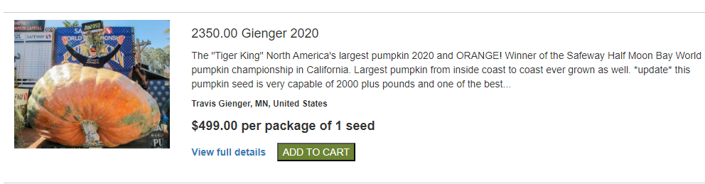 Giant Pumpkin Seed for $1499 - My, Vegetables, Gardening, Garden, Garden, Plants, Longpost, Pumpkin, Seeds