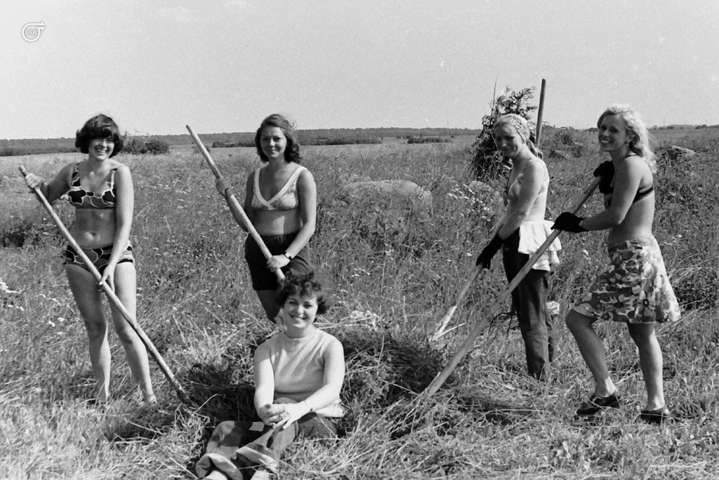 At the hayfield near Leningrad. 1976 - Hay, Haymaking, Childhood in the USSR, Made in USSR, the USSR, Girls, Leningrad, 70th, Retro, Memories, Childhood memories, Summer, Nostalgia, Memory, beauty, Telegram (link)