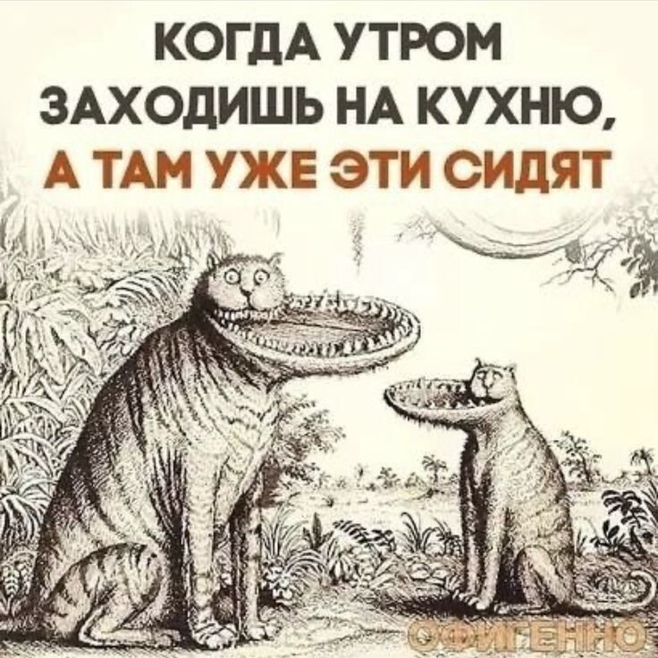 А кто встречает вас на кухне по утрам? - Юмор, Странный юмор, Грустный юмор, Ожидание и реальность, Демотиватор, Смех (реакция), Неожиданно, Ирония, Картинка с текстом, Кот, Семейство кошачьих, Кошатники, Домашние животные, Смешные животные