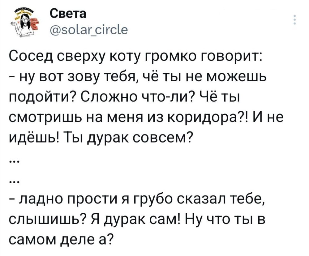 Как можно обидеть котеньку, не понимаю - Кот, Twitter, Скриншот