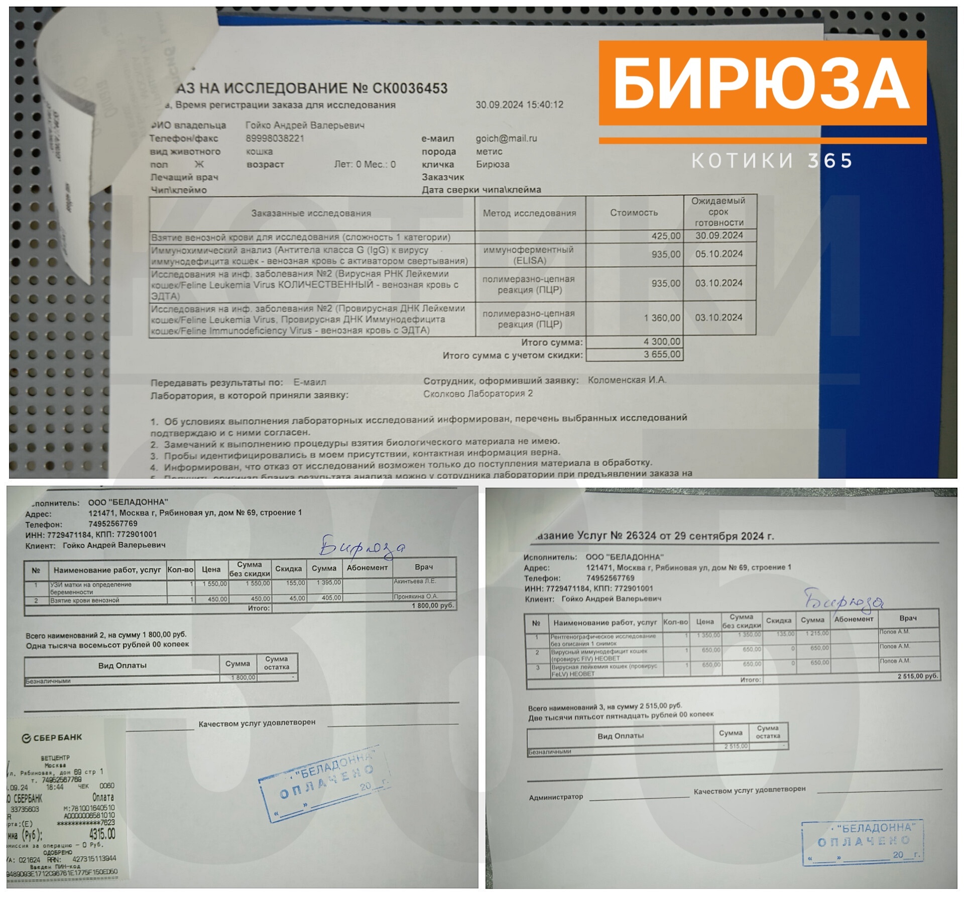 Бирюза 30.09.2024 | Пикабу