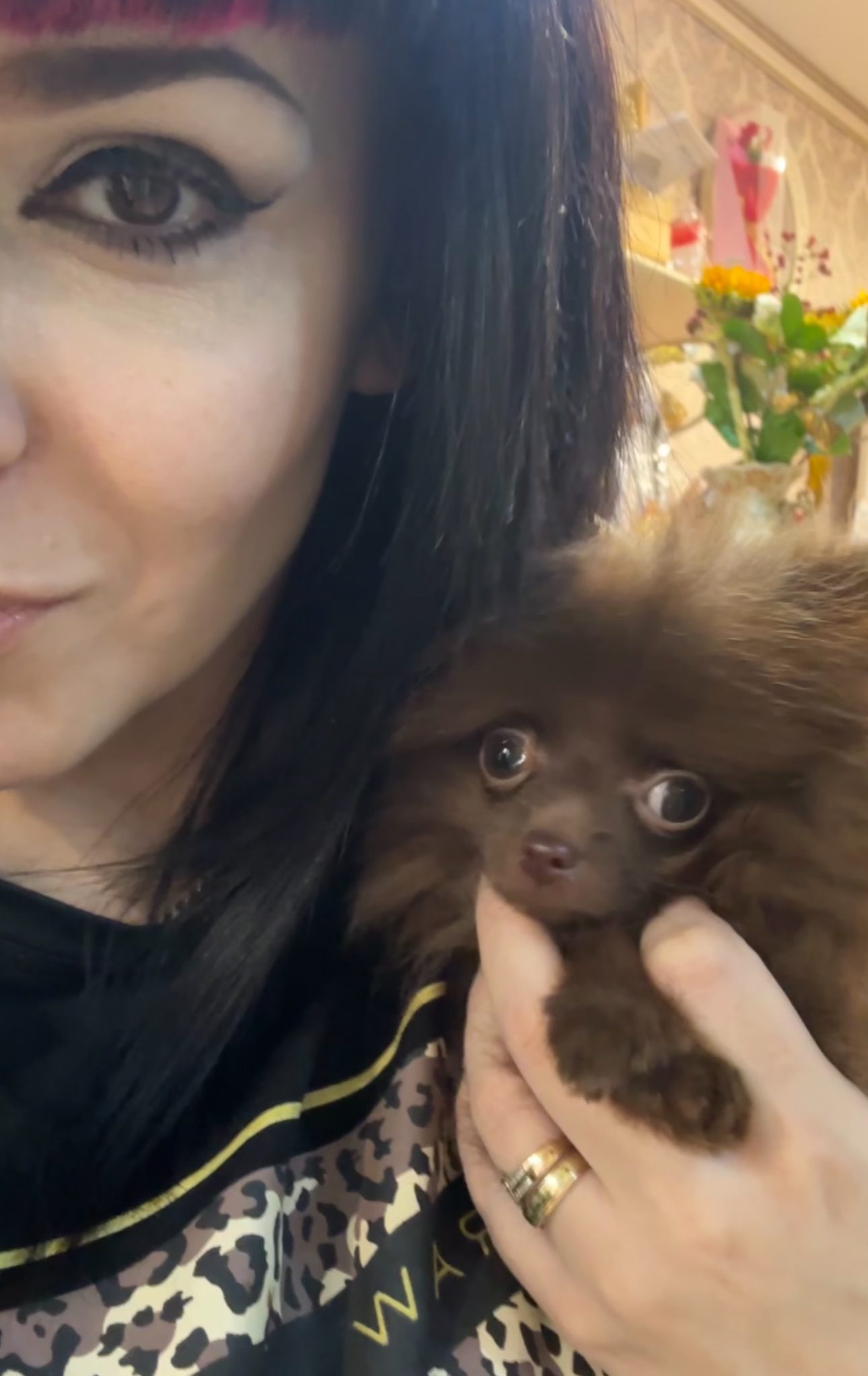 Why do you need these problems? The story of one Chuchi - My, Dog, Animal Rescue, The rescue, A life, Good league, Veterinary, Care, Kindness, Puppies, Dog lovers, Friend, Animals, Pets, Love, Video, Soundless, Vertical video, Longpost