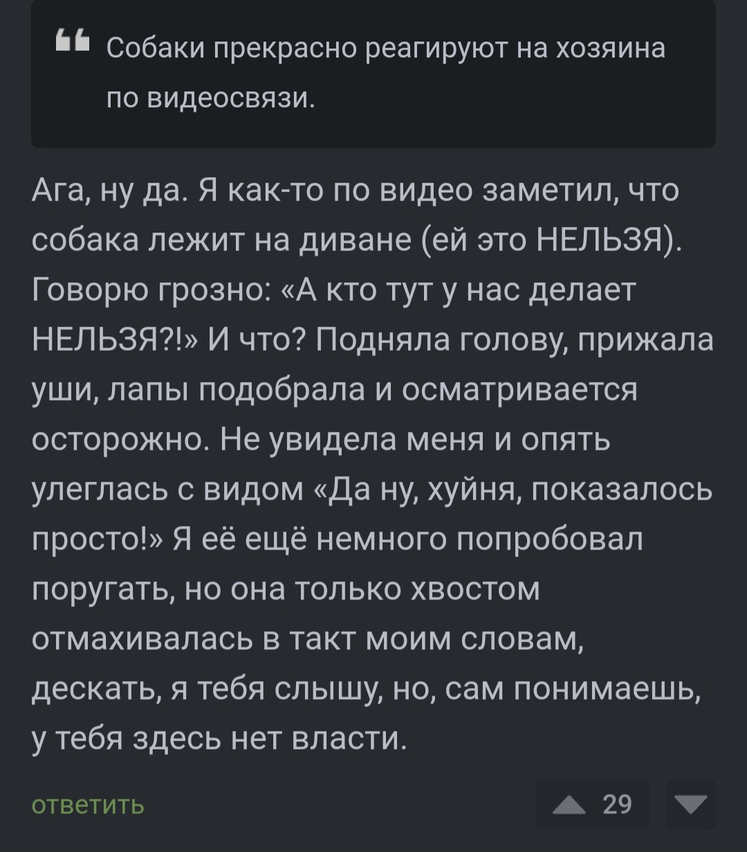 Приняла за голос совести - Собака, Реакция, Видеосвязь, Юмор, Комментарии на Пикабу, Скриншот