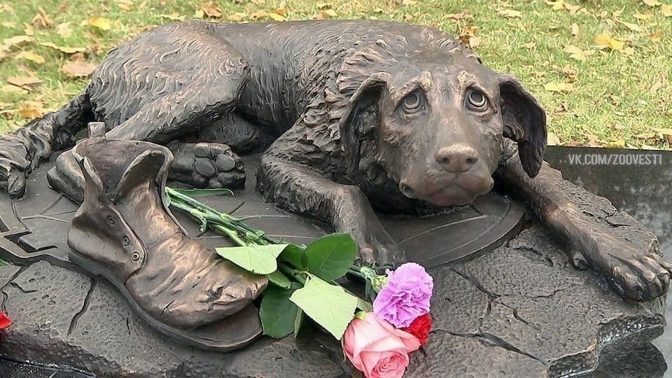 Monument to homeless animals in Moscow - The photo, Animals, Dog, Pets, Longpost