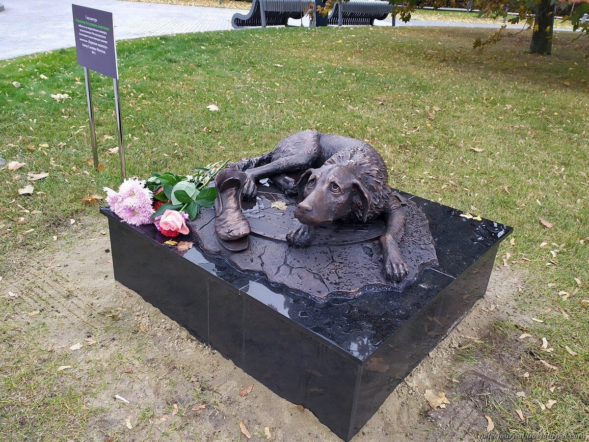 Monument to homeless animals in Moscow - The photo, Animals, Dog, Pets, Longpost