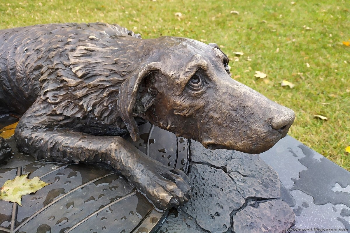 Monument to homeless animals in Moscow - The photo, Animals, Dog, Pets, Longpost