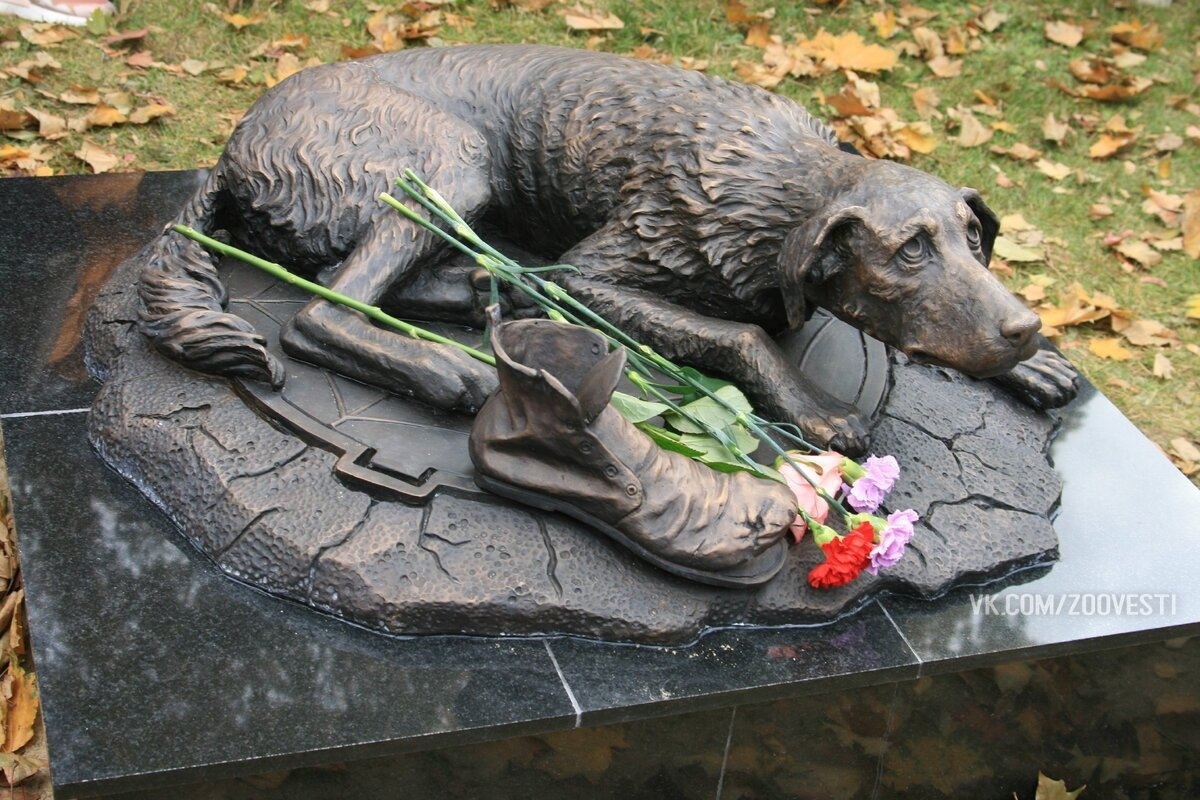 Monument to homeless animals in Moscow - The photo, Animals, Dog, Pets, Longpost