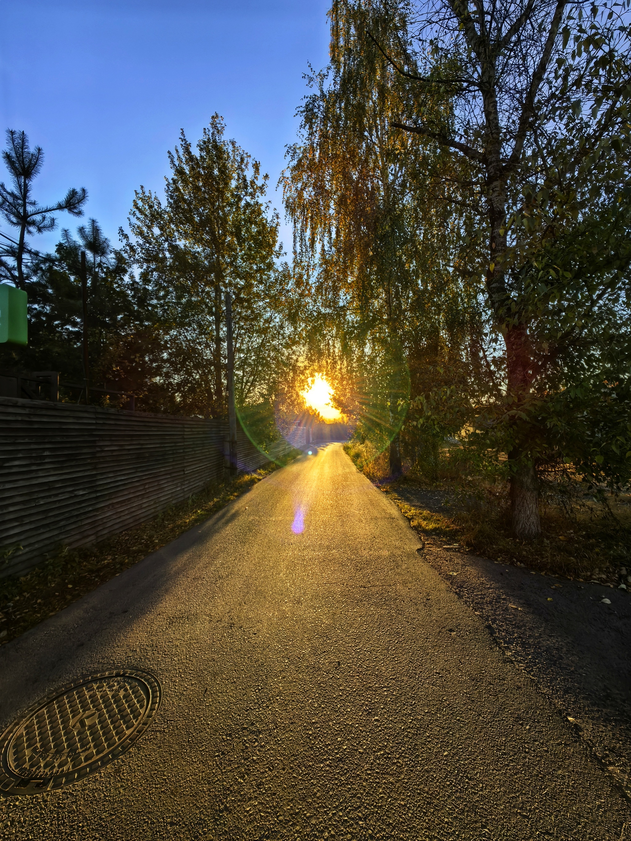 Morning walk to Krylatskie Hills - My, A bike, Bike path, Krylatskoye, Workout, Longpost