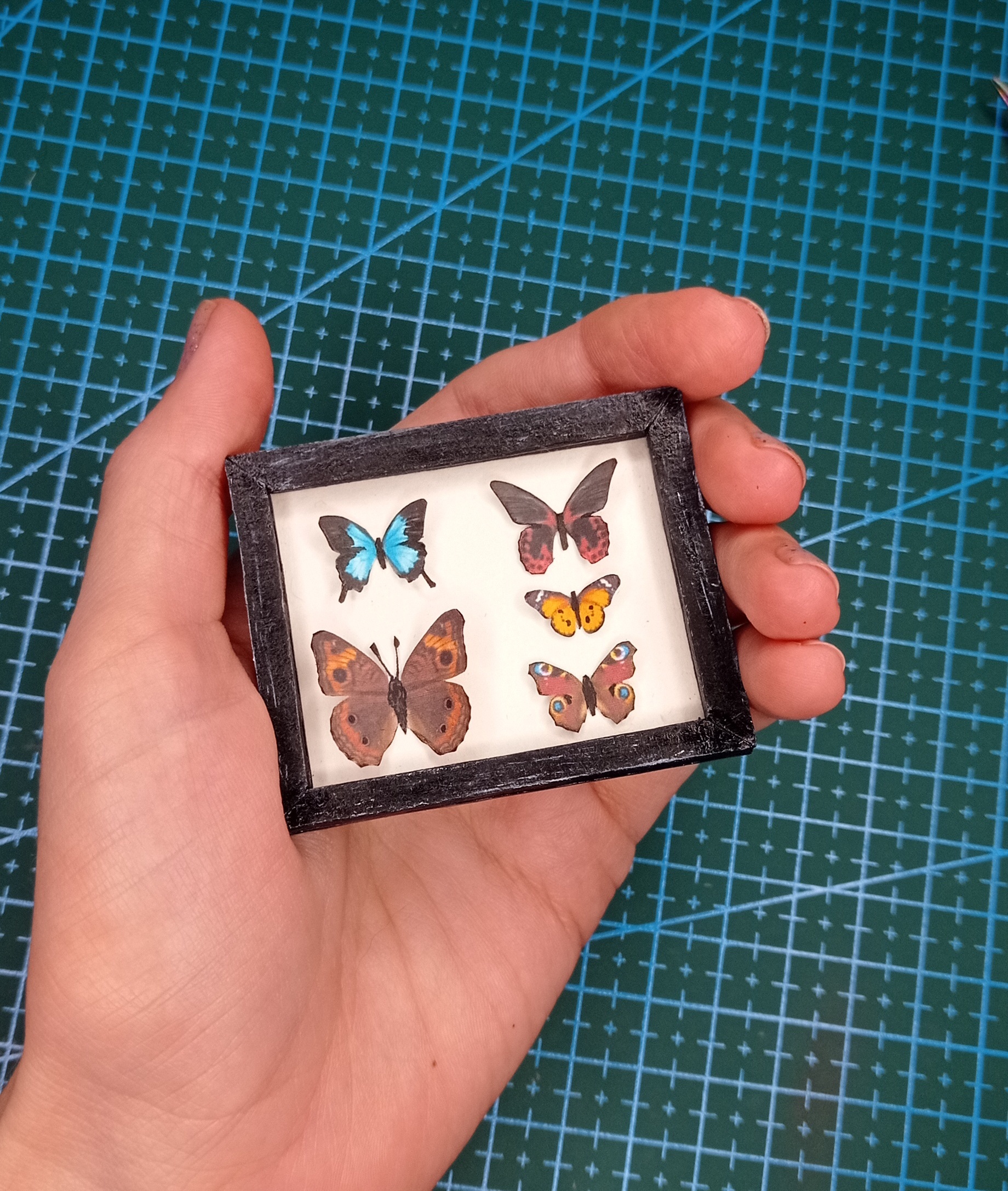 Mini MK Miniature collection of butterflies - My, Master Class, Miniature, Butterfly, With your own hands, Longpost, Needlework with process