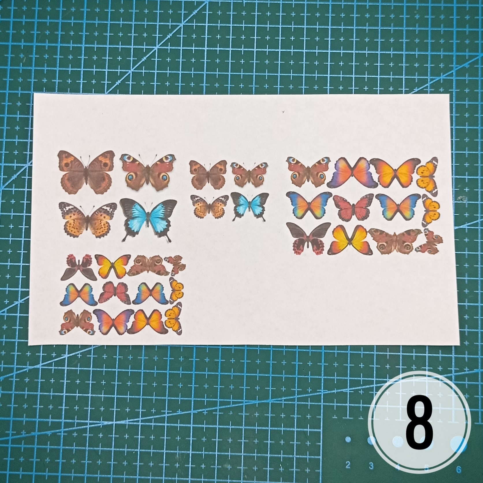 Mini MK Miniature collection of butterflies - My, Master Class, Miniature, Butterfly, With your own hands, Longpost, Needlework with process