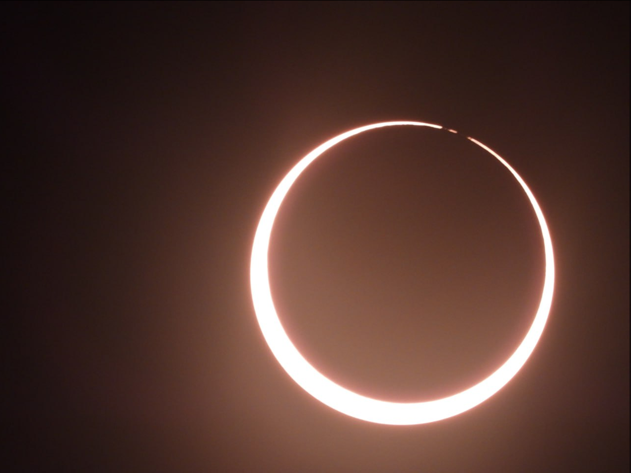 An annular solar eclipse was visible in the Pacific region yesterday - Solar eclipse, Eclipse, Informative, Easter Island, Telegram (link), Longpost