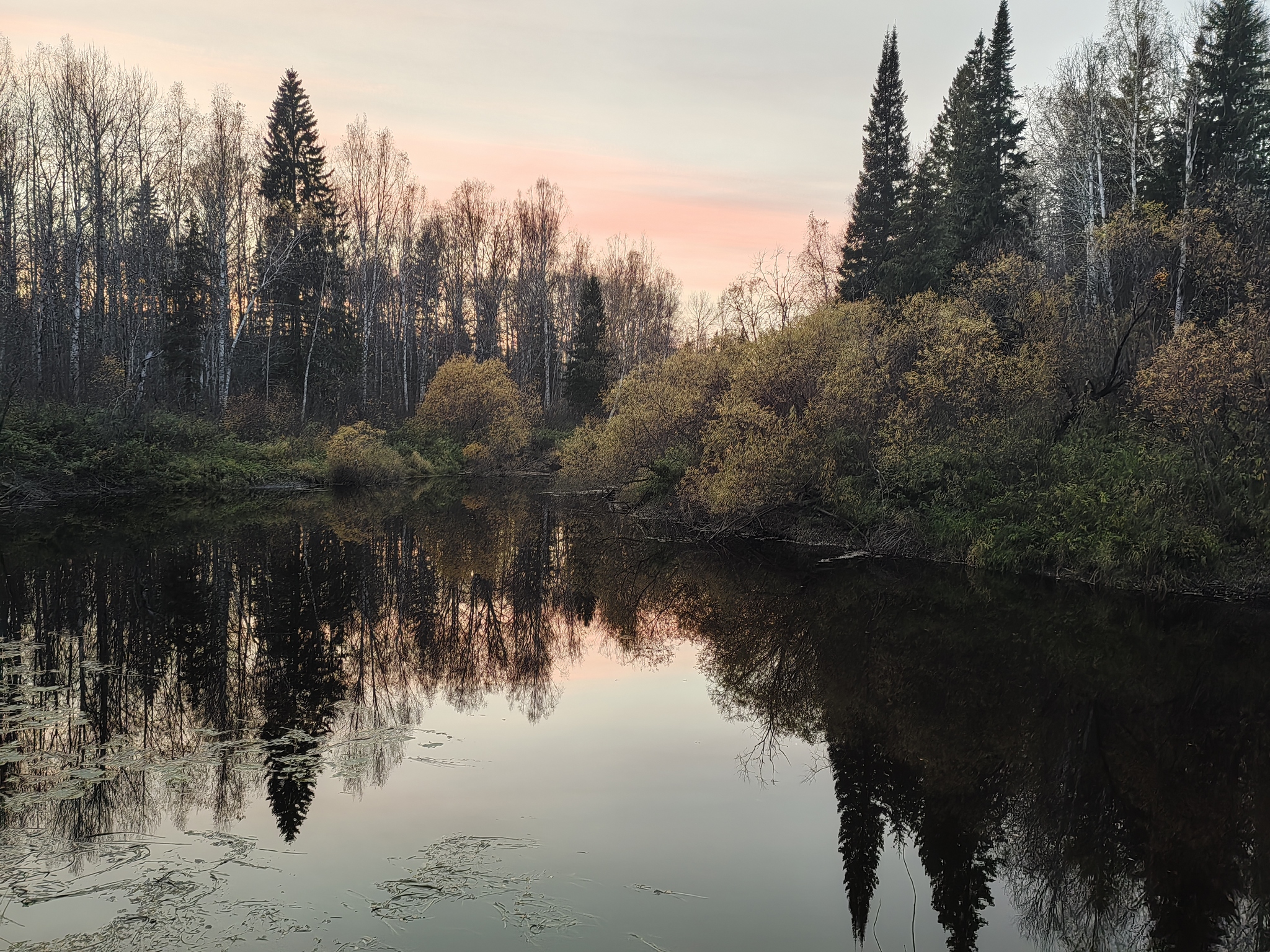 Nature of Siberia - My, Nature, Evening, The photo, Longpost