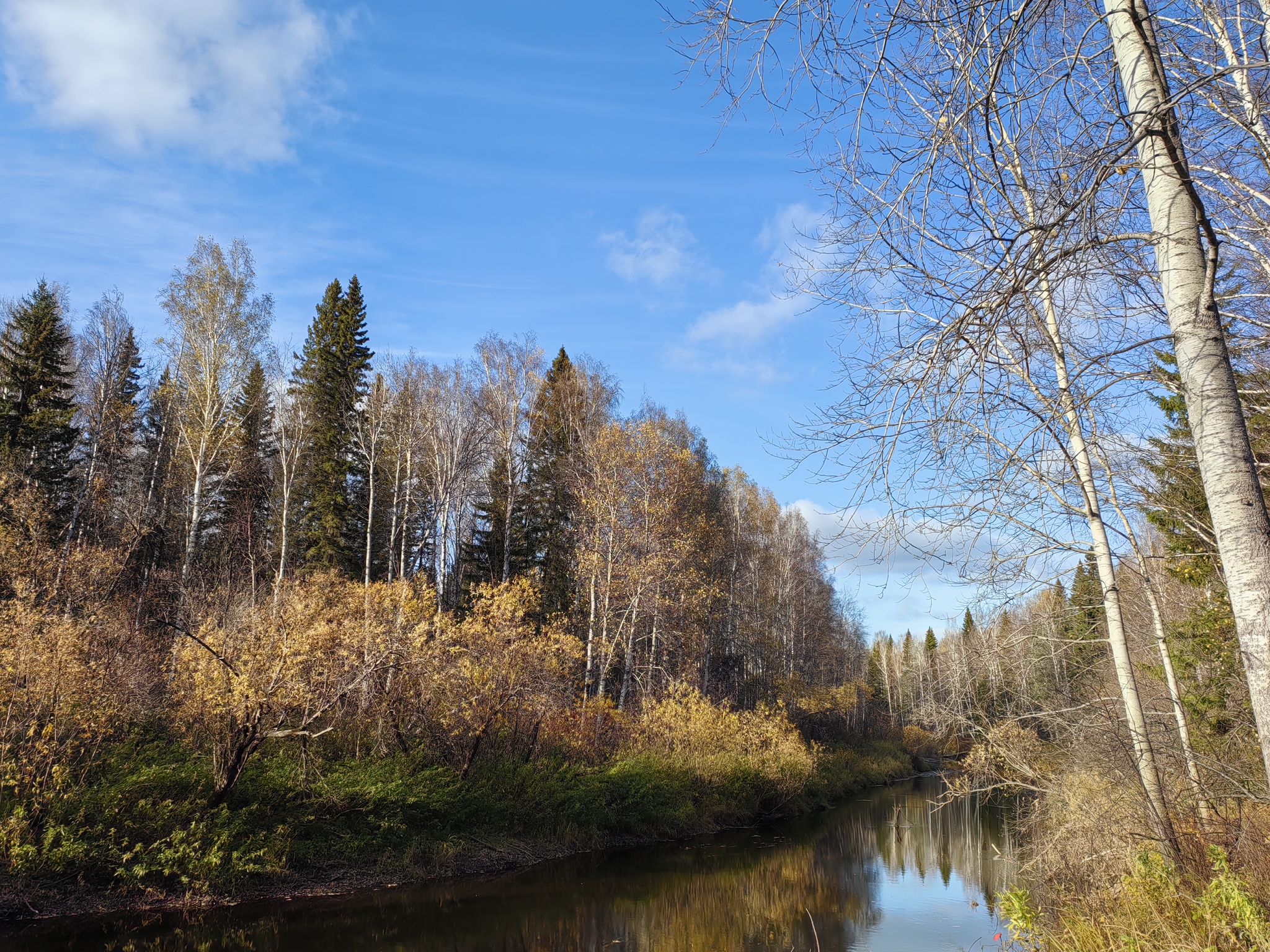 Nature of Siberia - My, Nature, Evening, The photo, Longpost