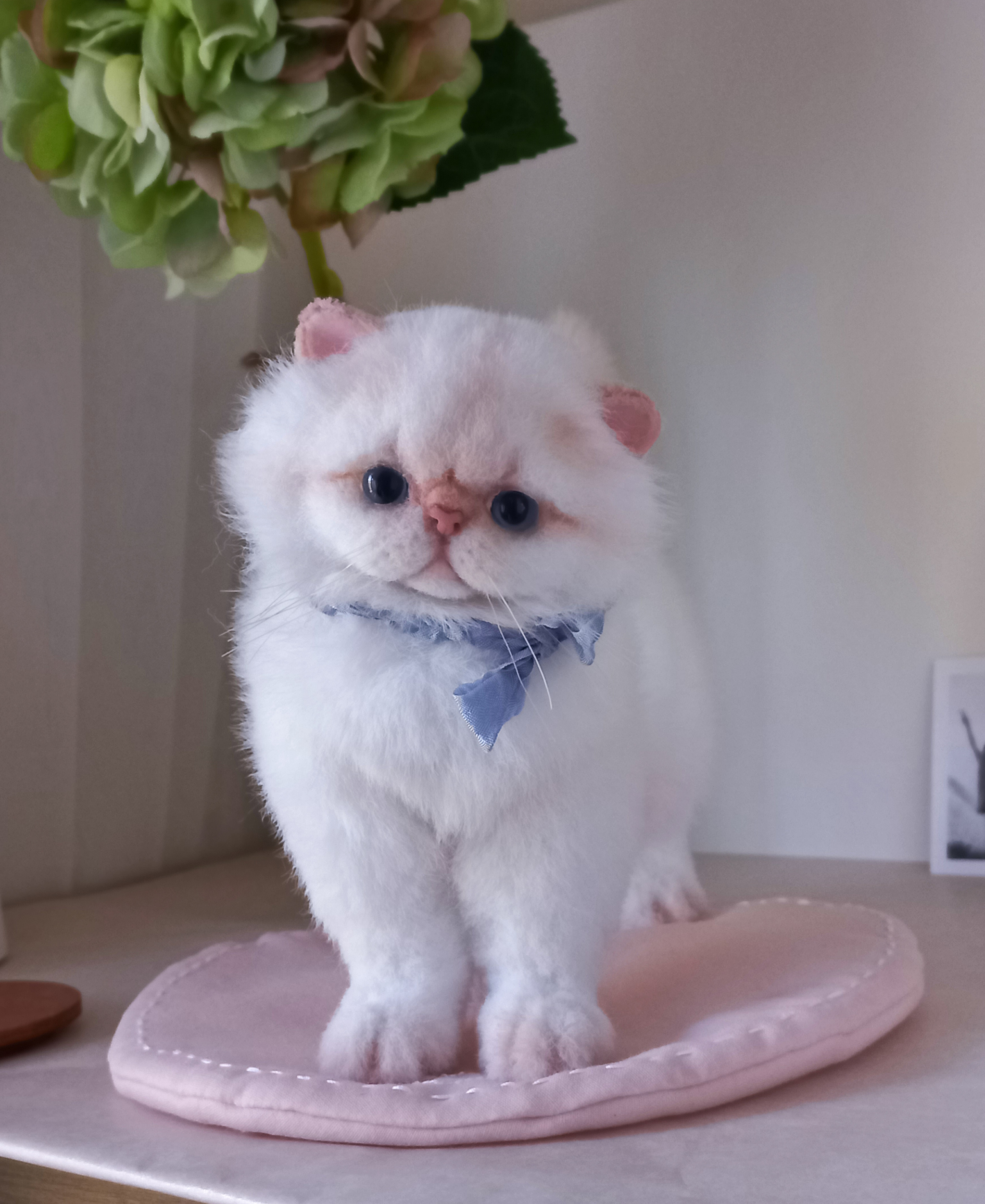 Exotic kitten toy Cassandra - My, Kittens, Milota, Exot, Persian cat, Author's toy, Video, Youtube, Longpost