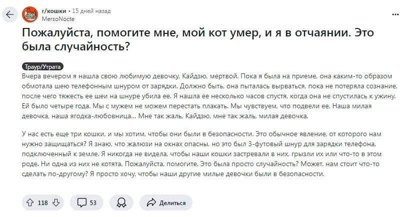 Tragic story with a cat - A life, In the animal world, cat, Death, Accident, Unclear, VKontakte (link), Reddit (link)