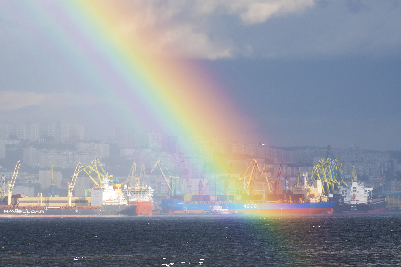 Rainbow - Радуга, Фотография