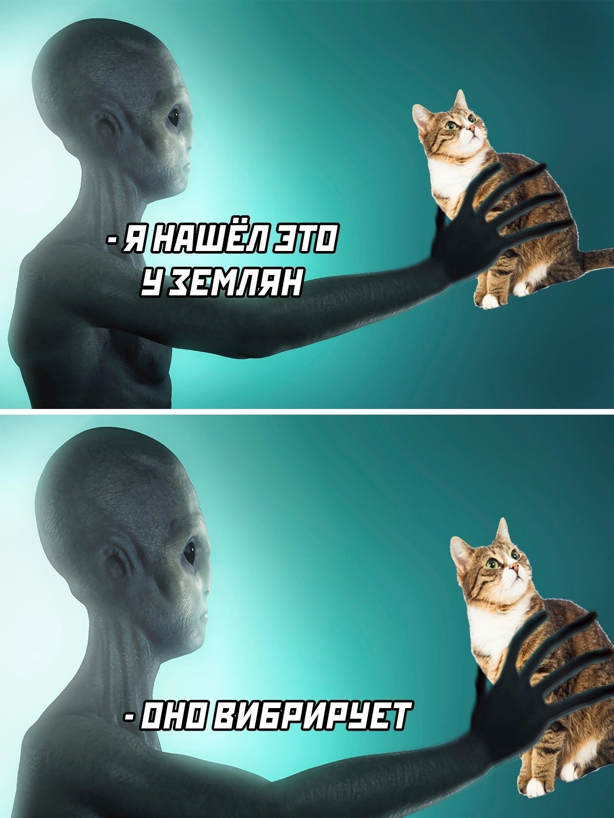 Find - Purring, Aliens, cat, Picture with text