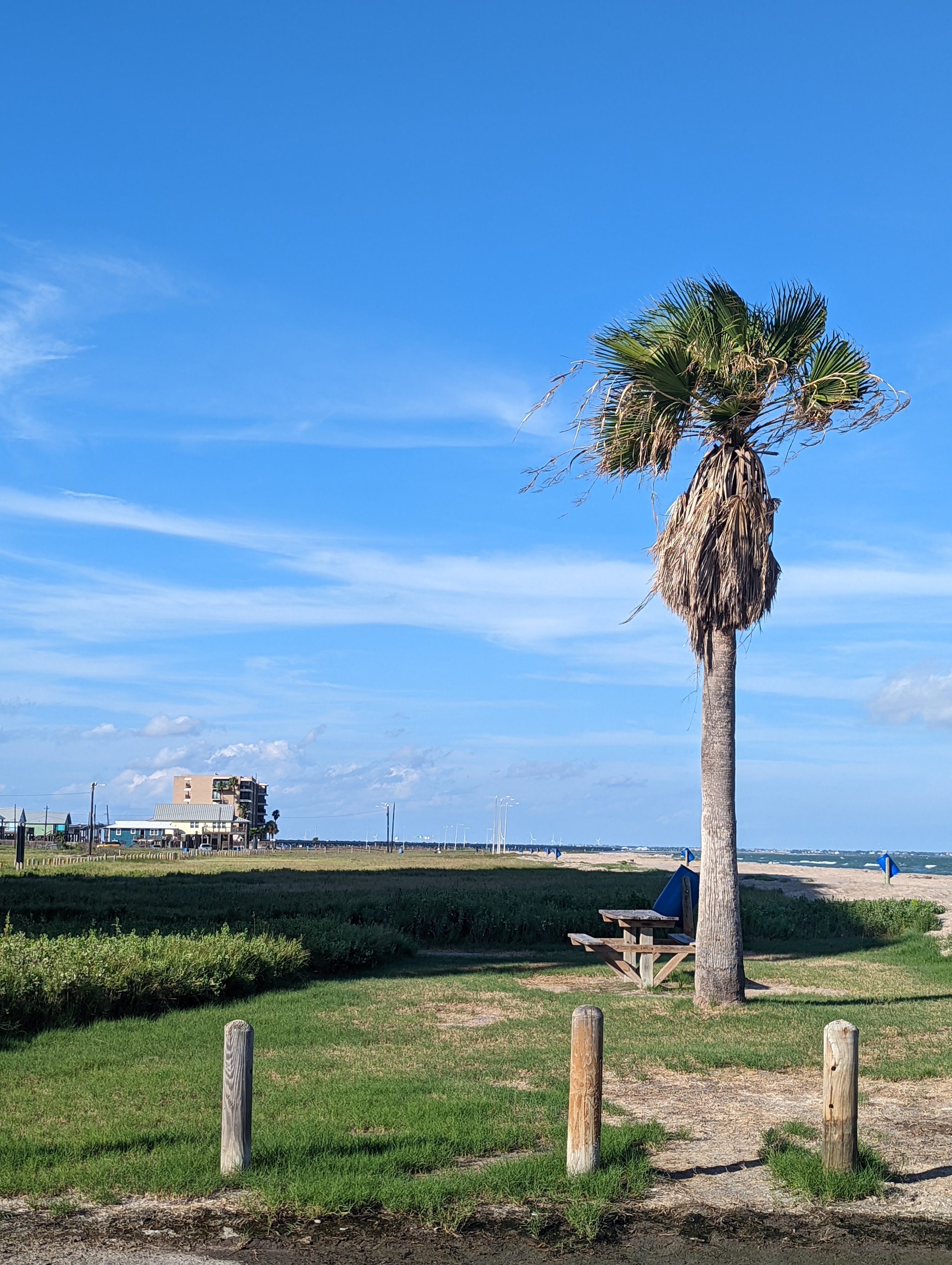 Hi all - My, Nature, Texas, The photo, Mobile photography, Longpost, Pond, The park, Lake, Beautiful view, Abroad, South, Ocean, USA