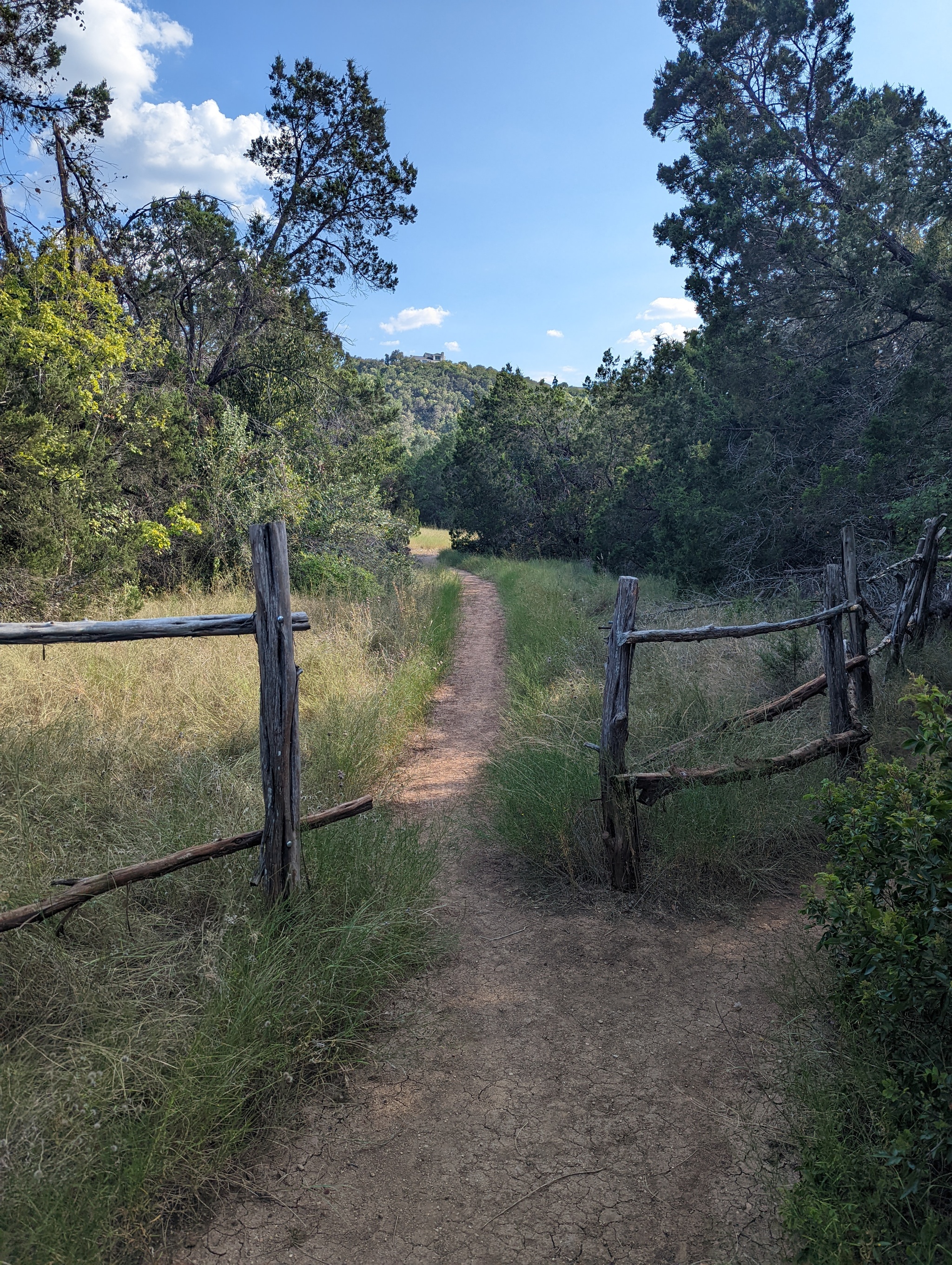 Hi all - My, Nature, Texas, The photo, Mobile photography, Longpost, Pond, The park, Lake, Beautiful view, Abroad, South, Ocean, USA