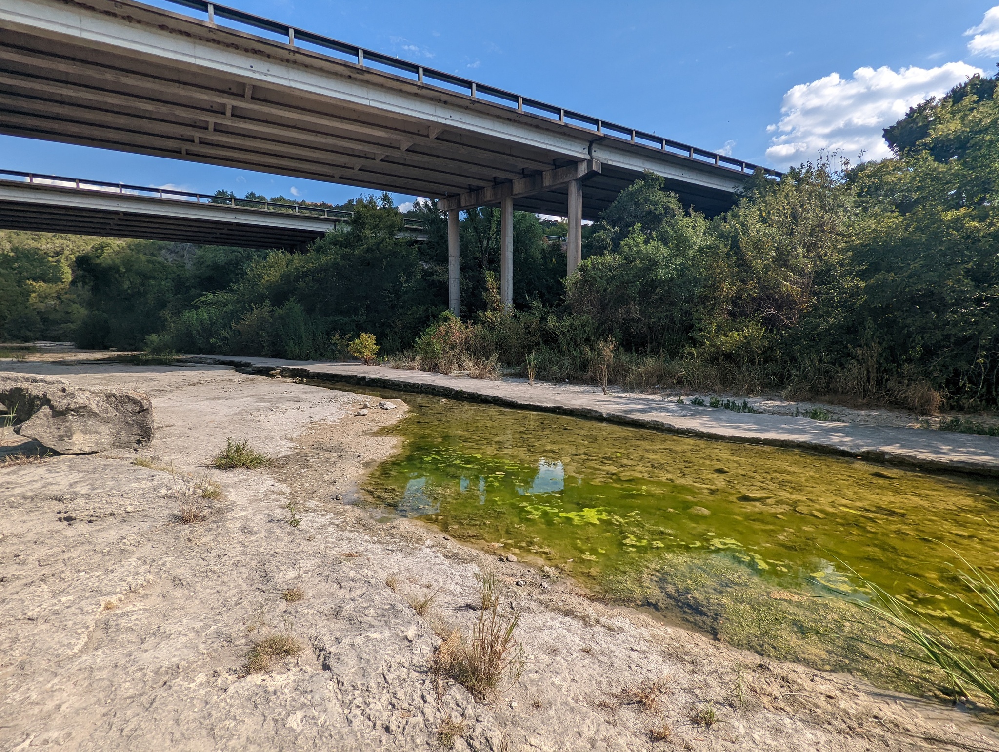 Hi all - My, Nature, Texas, The photo, Mobile photography, Longpost, Pond, The park, Lake, Beautiful view, Abroad, South, Ocean, USA